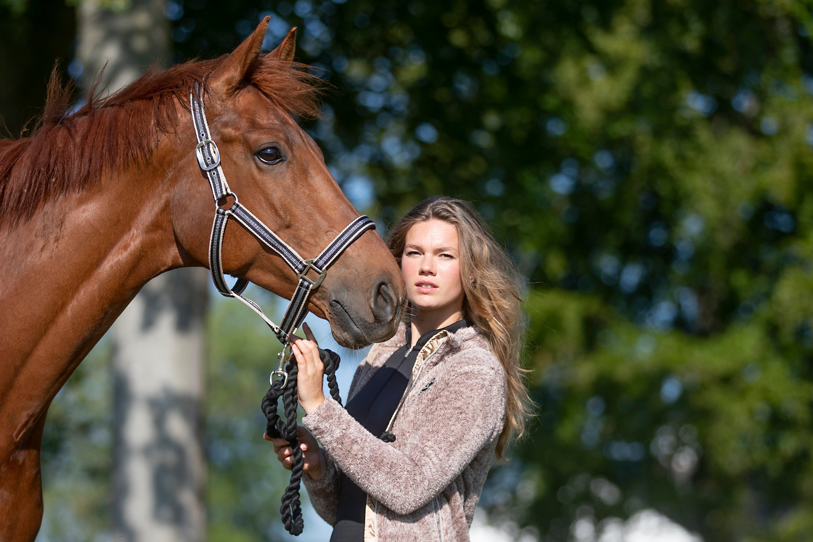 Girl holding a brown horse
