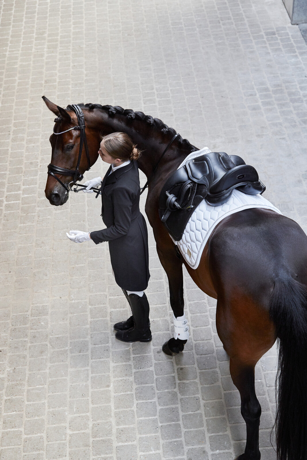 CATAGO Neat ladies dressage jacket