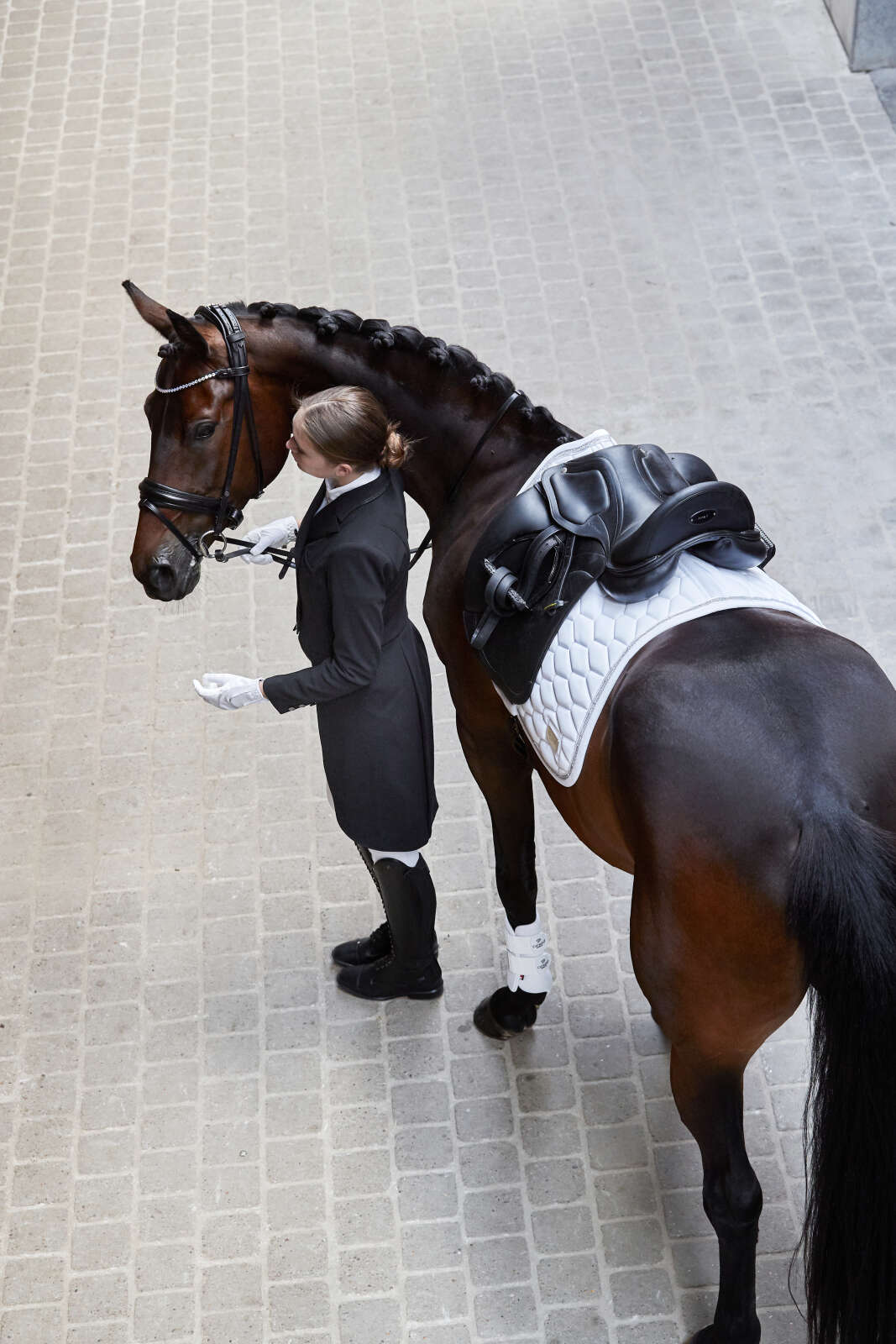 Catago Neat ladies dressage jacket