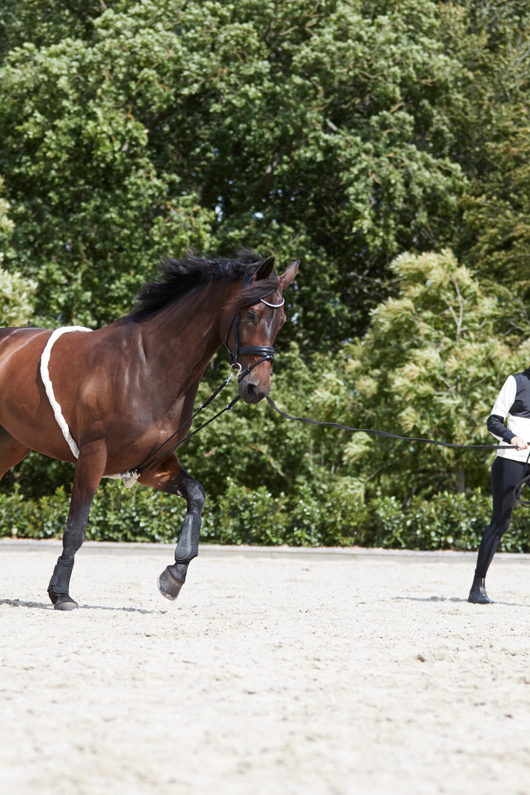 HorseGuard Soft longeringshjälp