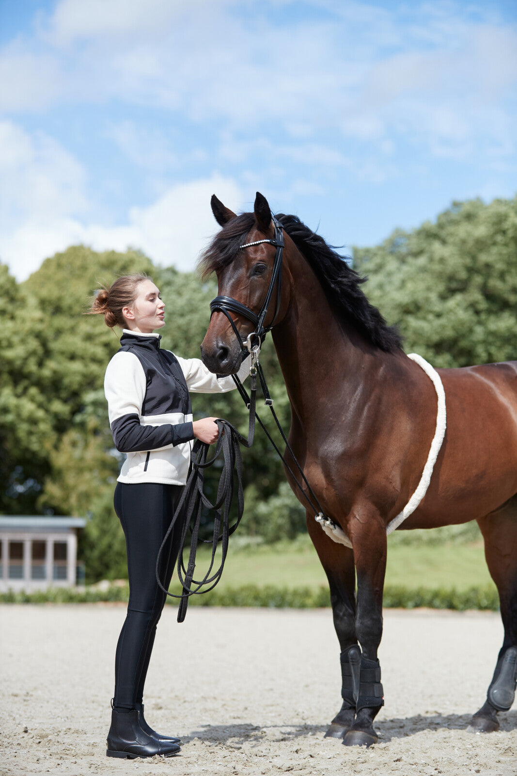 Horse Guard Soft-longeringshjælp