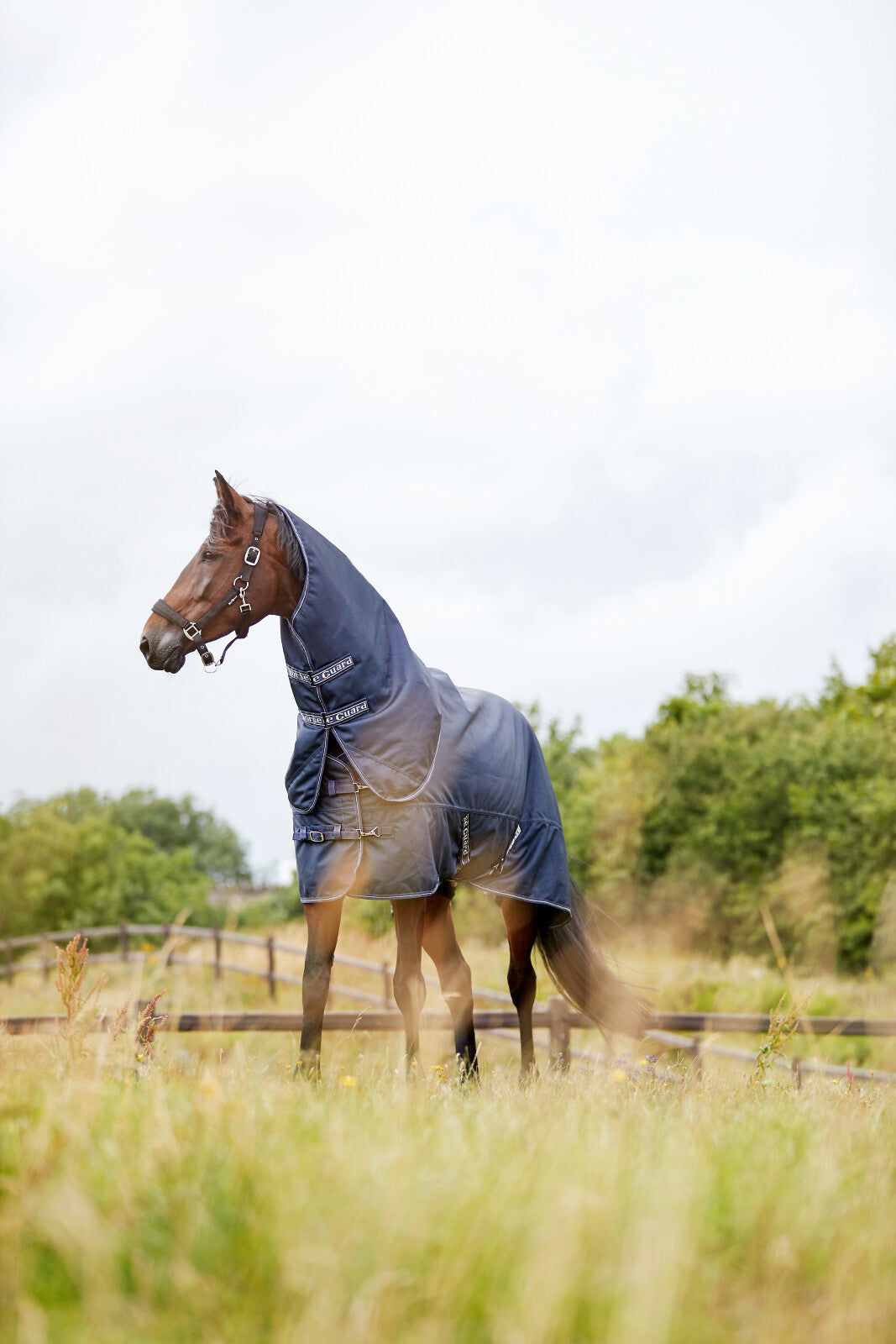Horse Guard Millan 1200D turnout-dækken med aftagelig hals 100g