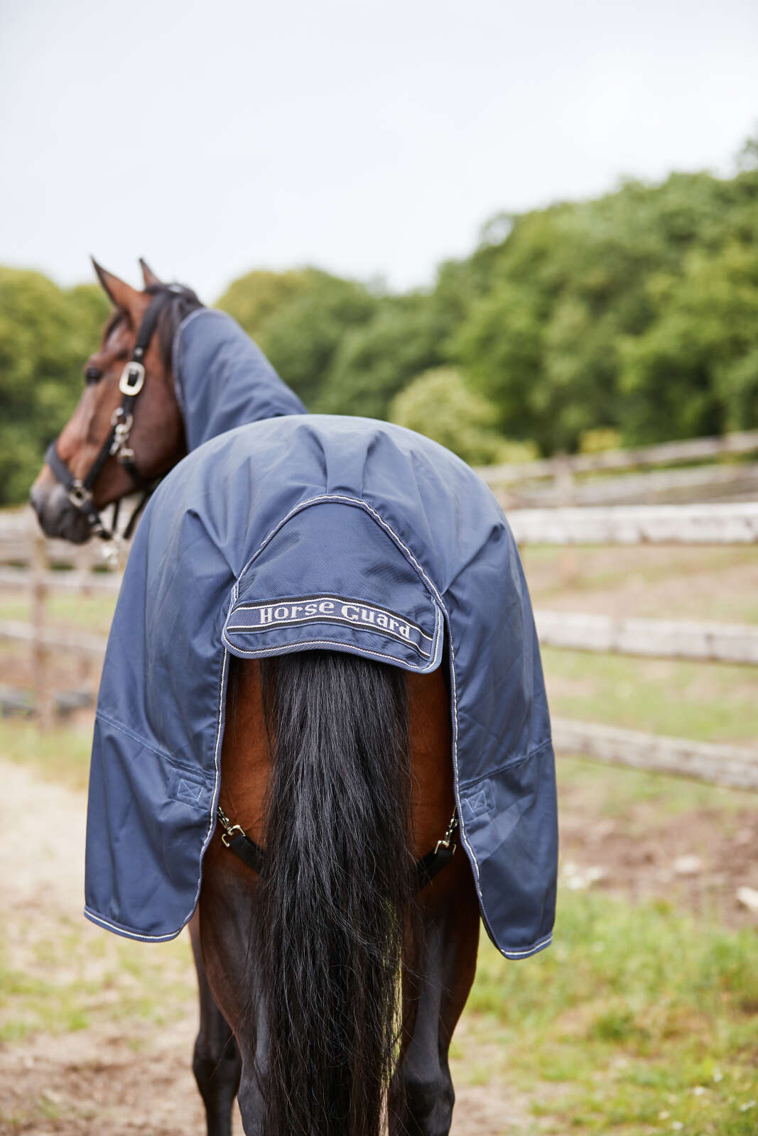 Horse Guard Millan 1200D turnout rug w. detachable neck 200g