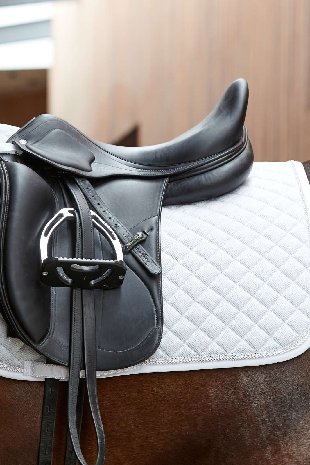 Horse Guard Milva dressursjabrak