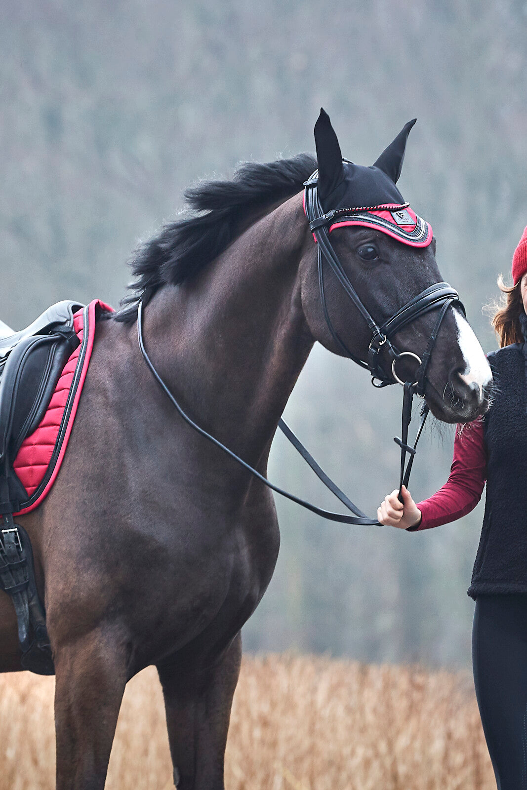 CATAGO Audrey langærmet ridebluse