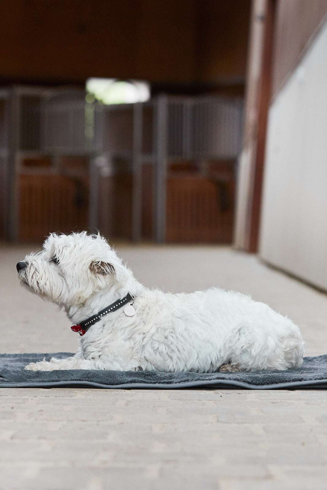 CATAGO Quick Dry multifunction blanket