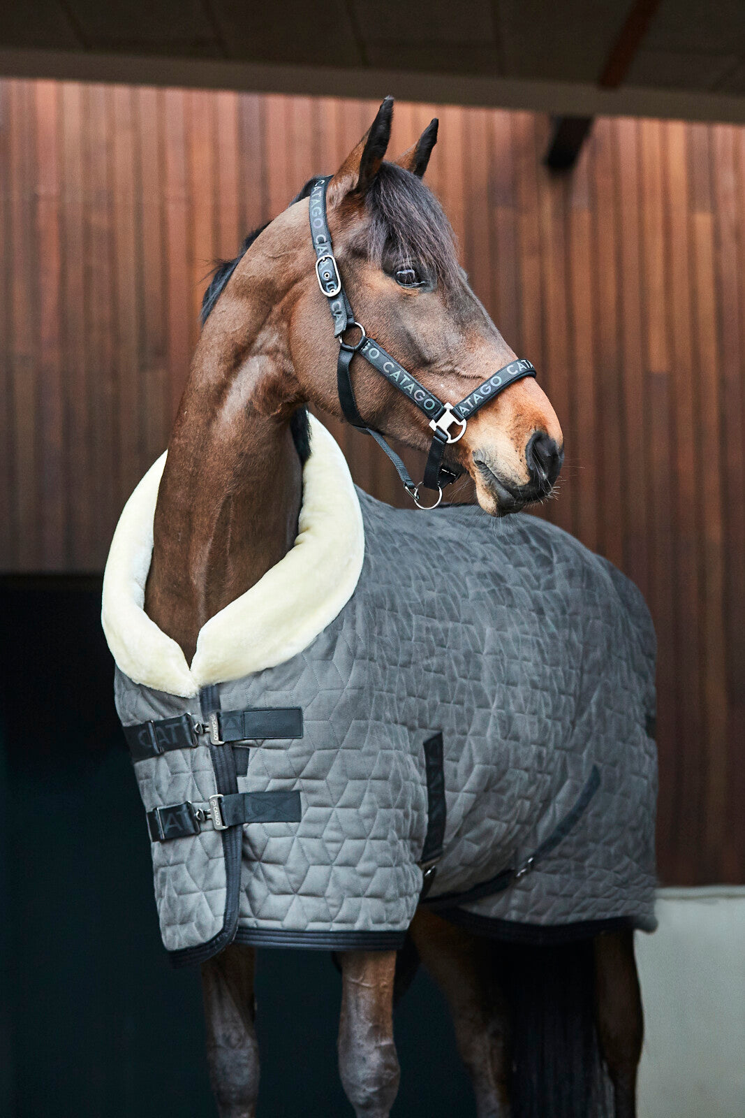 CATAGO Alea reflective logo halter