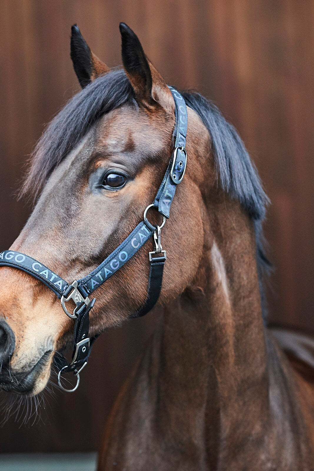 CATAGO Alea-grime med reflekterande logotyp