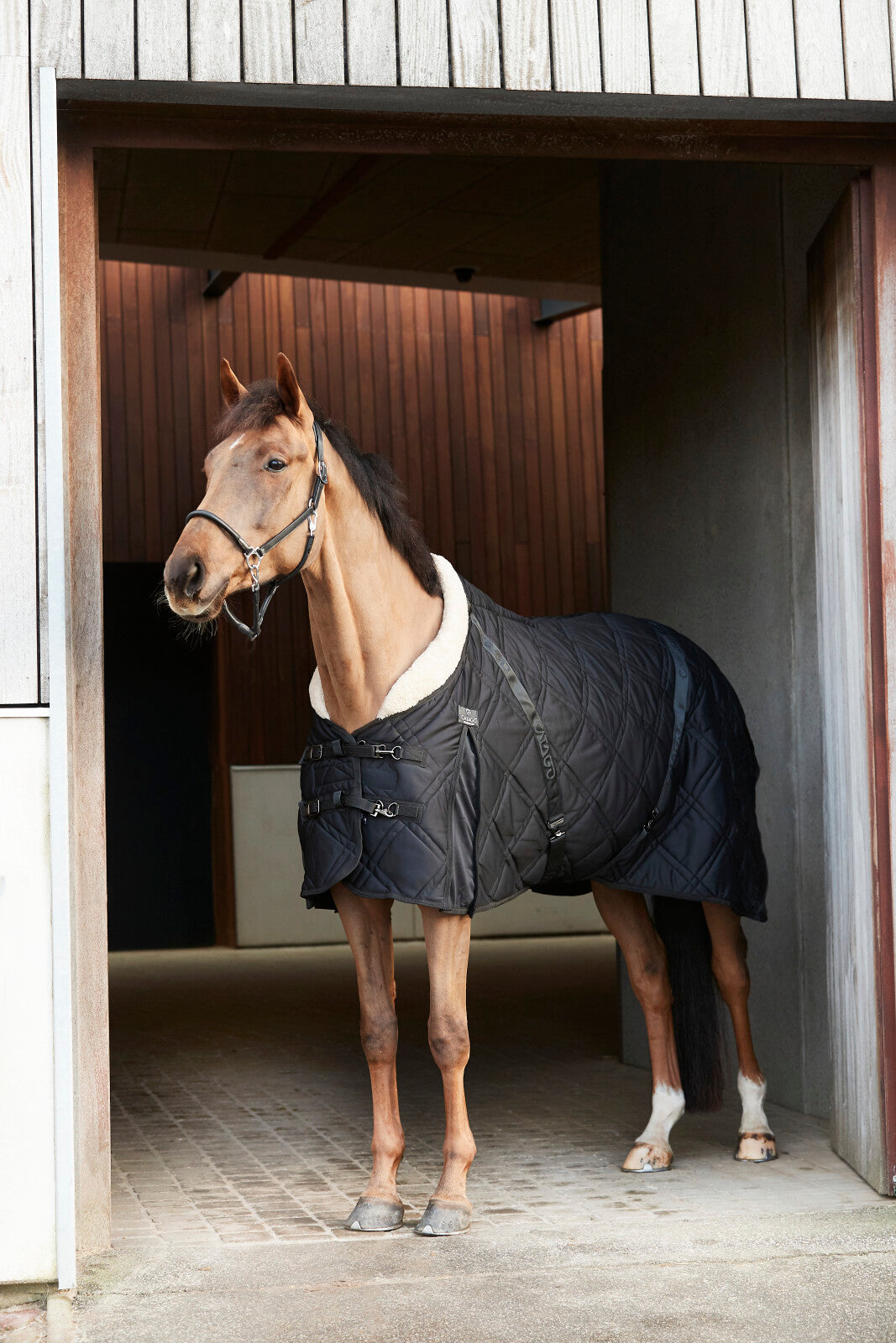 CATAGO Fir-Tech Quilt stable rug with fur collar - 200g