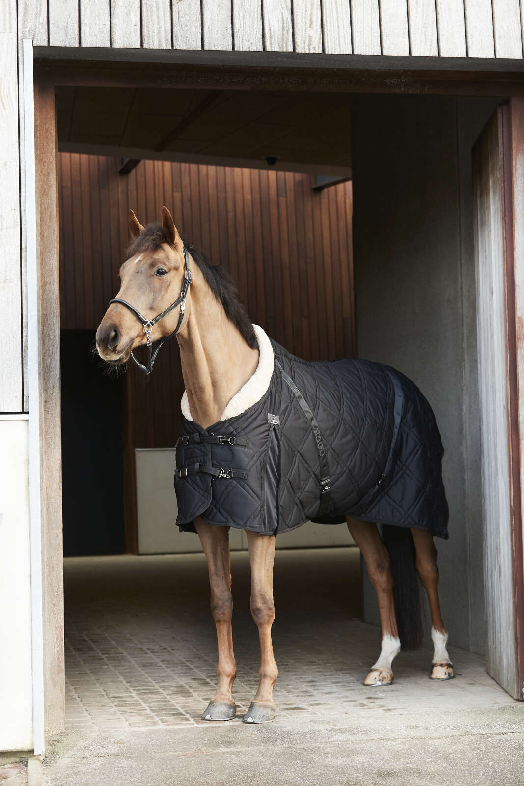 CATAGO FIR-Tech Quilt stalddækken med pelskrave - 200g