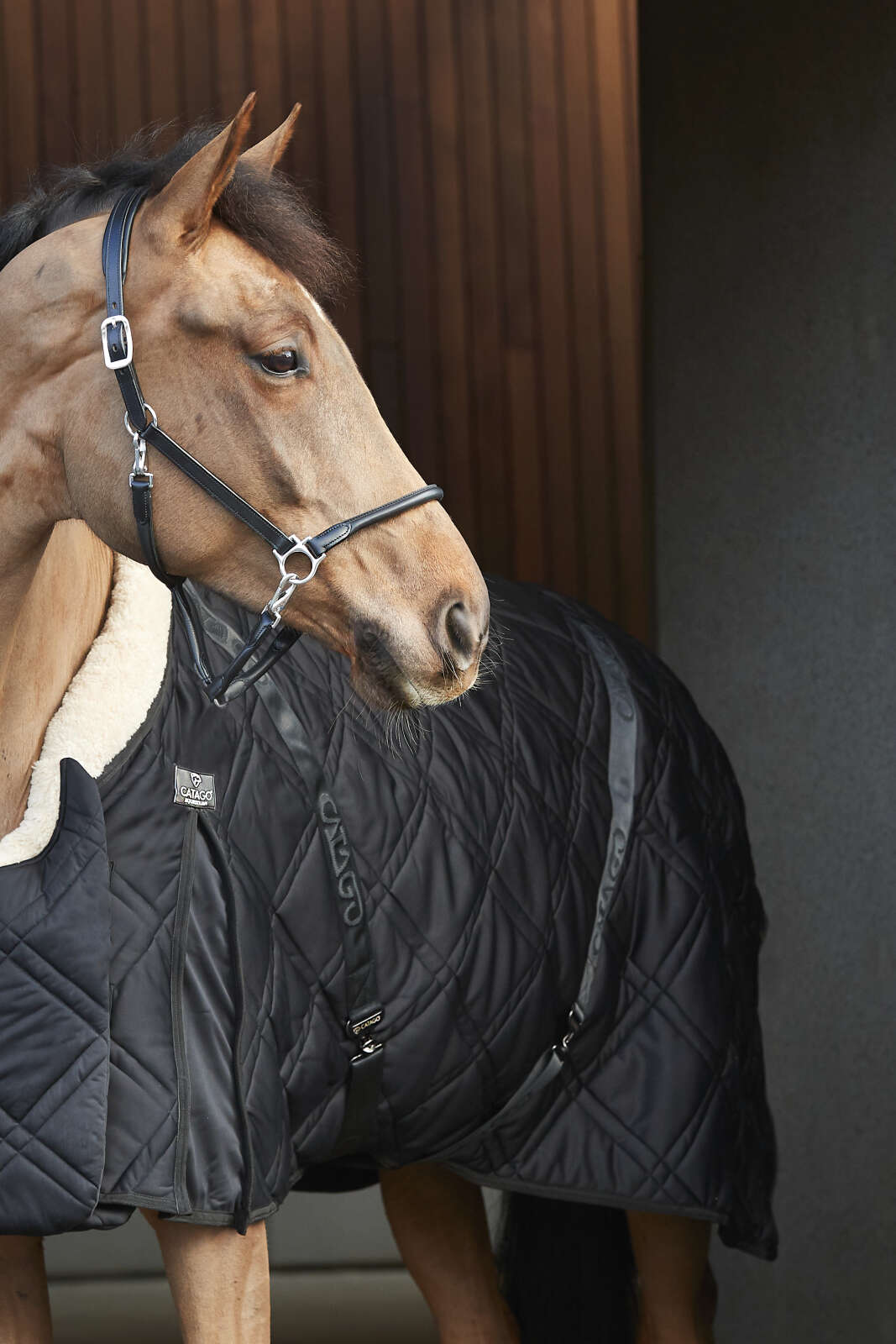 CATAGO FIR-Tech Quilt stalddækken med pelskrave - 200g