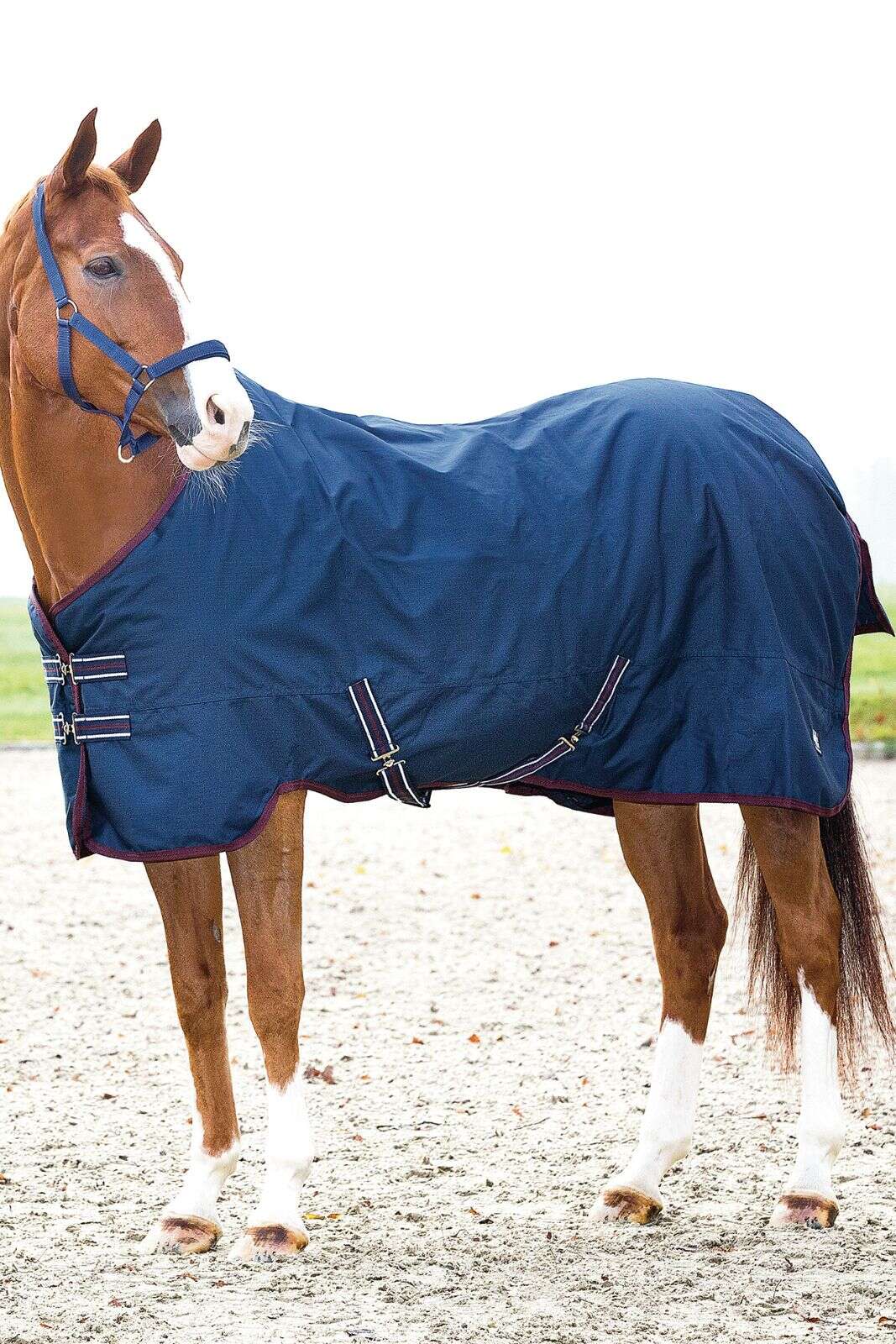 HorseGuard Turnout vinterdækken 600D 400g