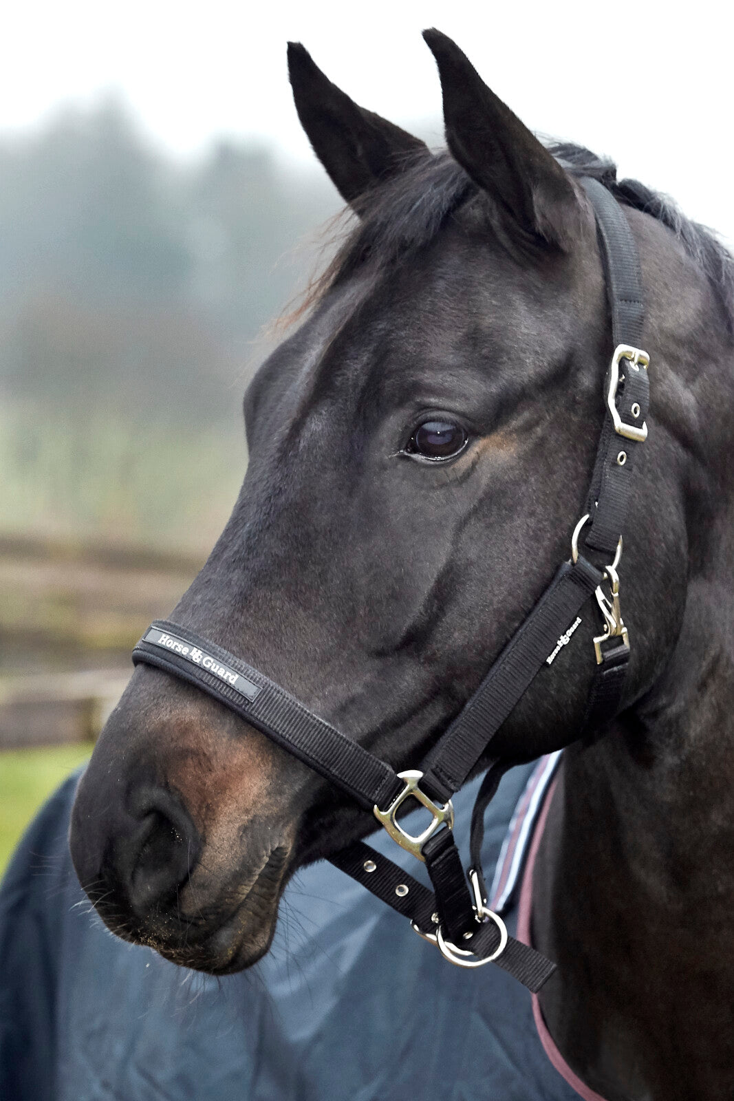 HorseGuard Mesh grimma