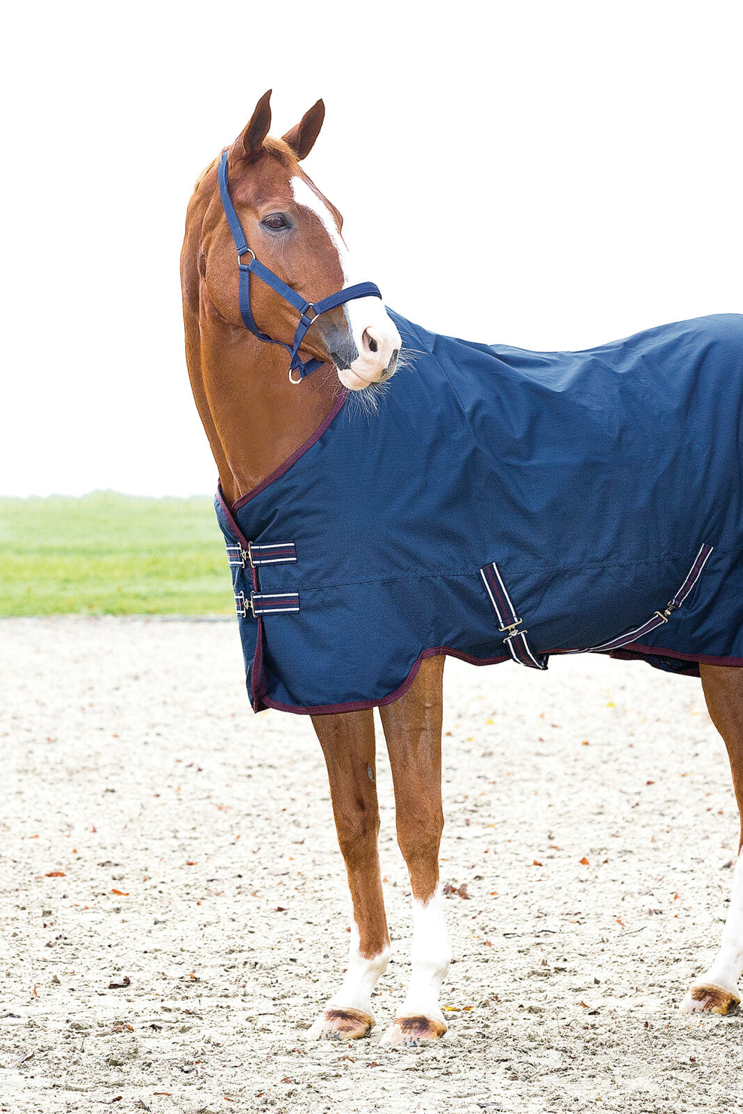 HorseGuard Turnout winter rug 600D 400g