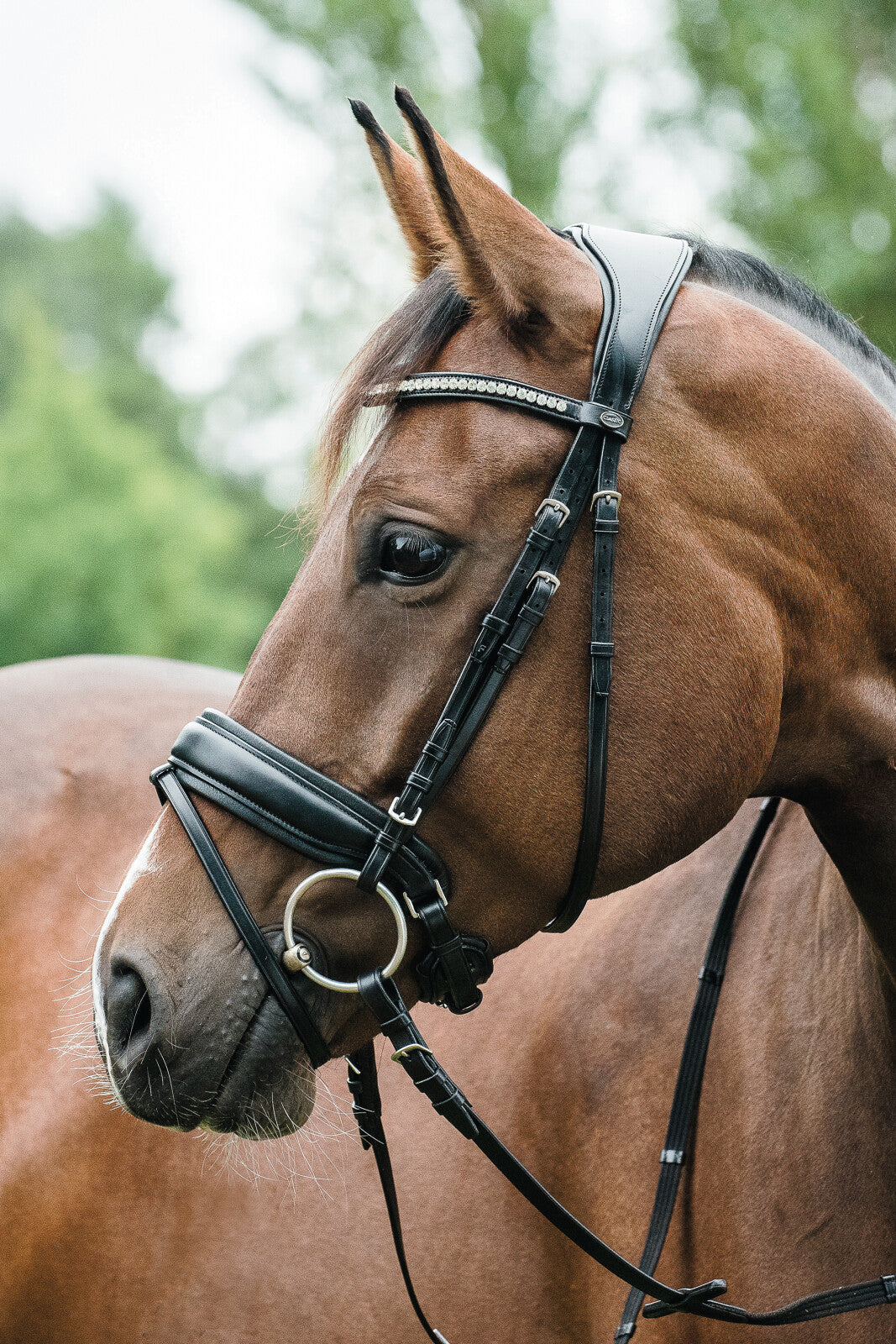 HorseGuard Ergo trense kombineret m/tilbagetræk
