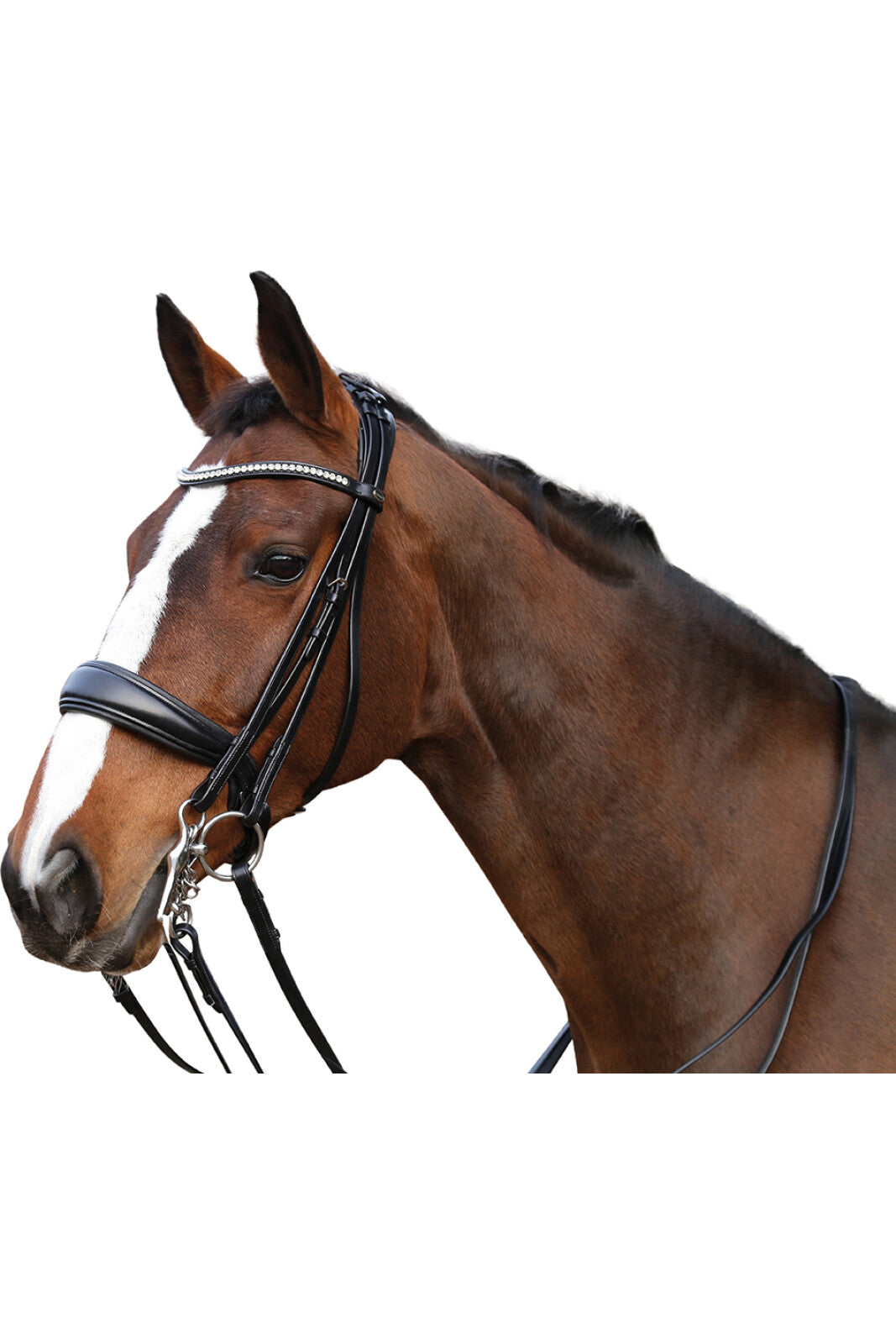 HorseGuard Ergo kandar m/tøjler