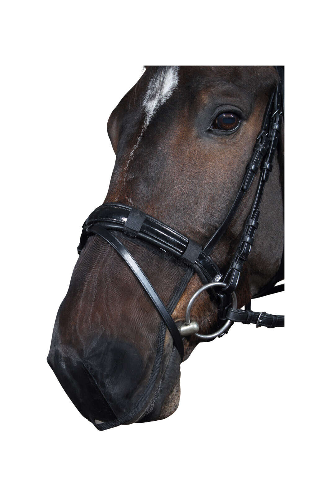 HorseGuard mulskydd