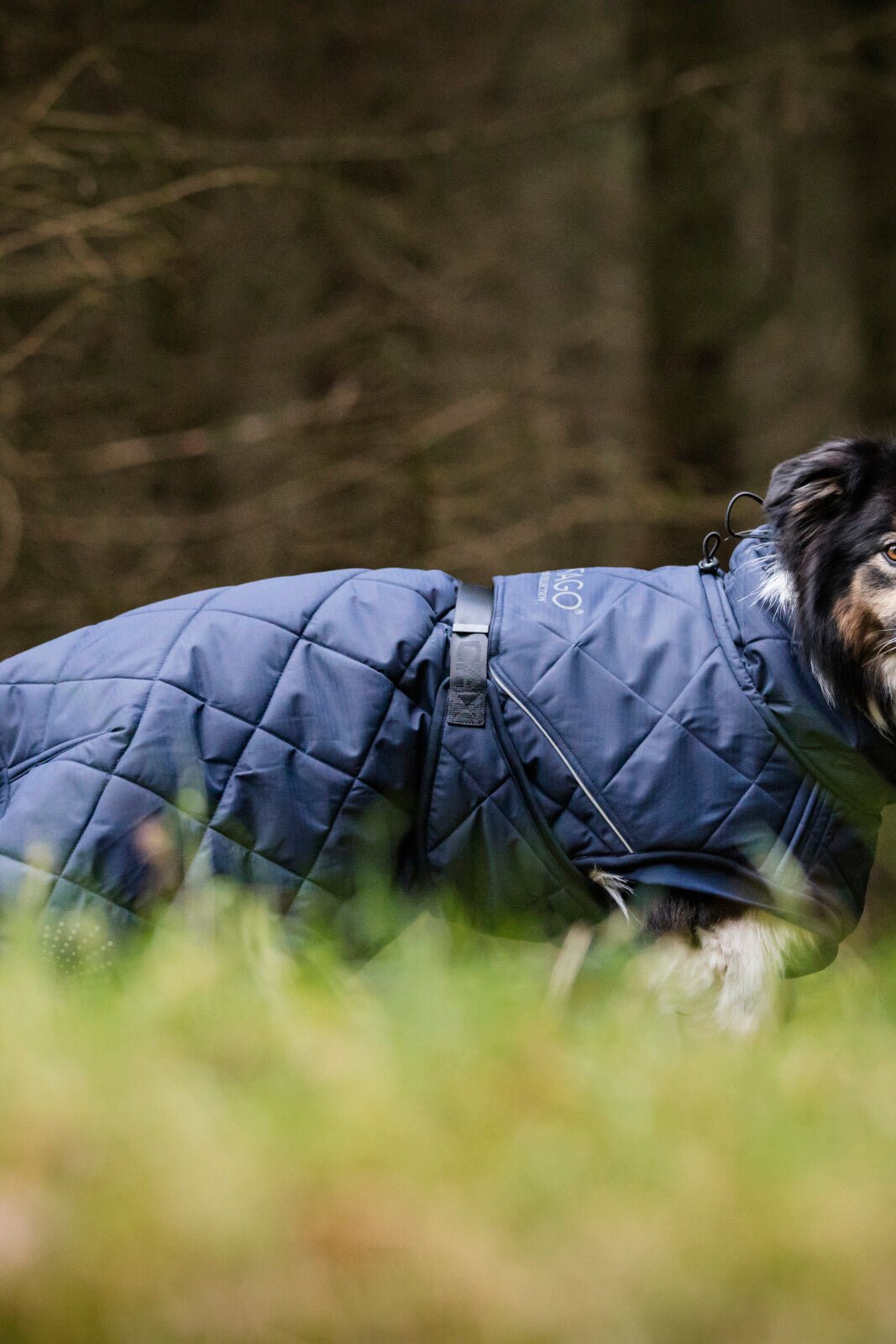 CATAGO Fir - Tech Trainer Dog rug - Unamari