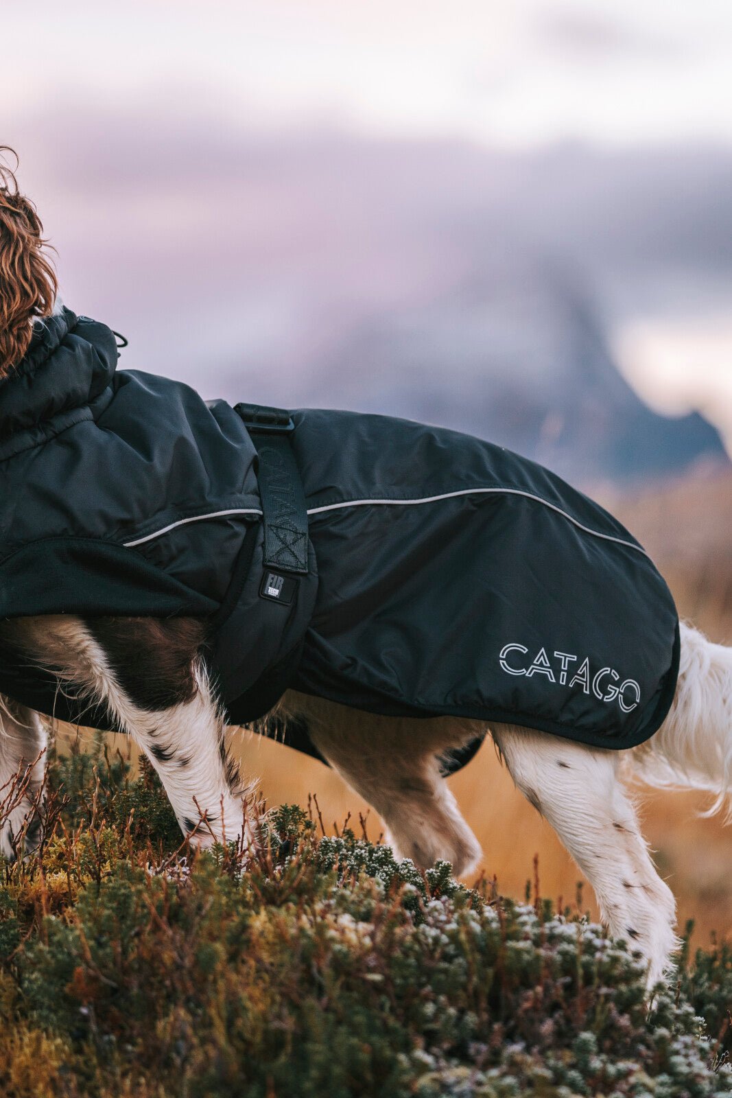 CATAGO FIR - Tech Winter dog rug - Unamari
