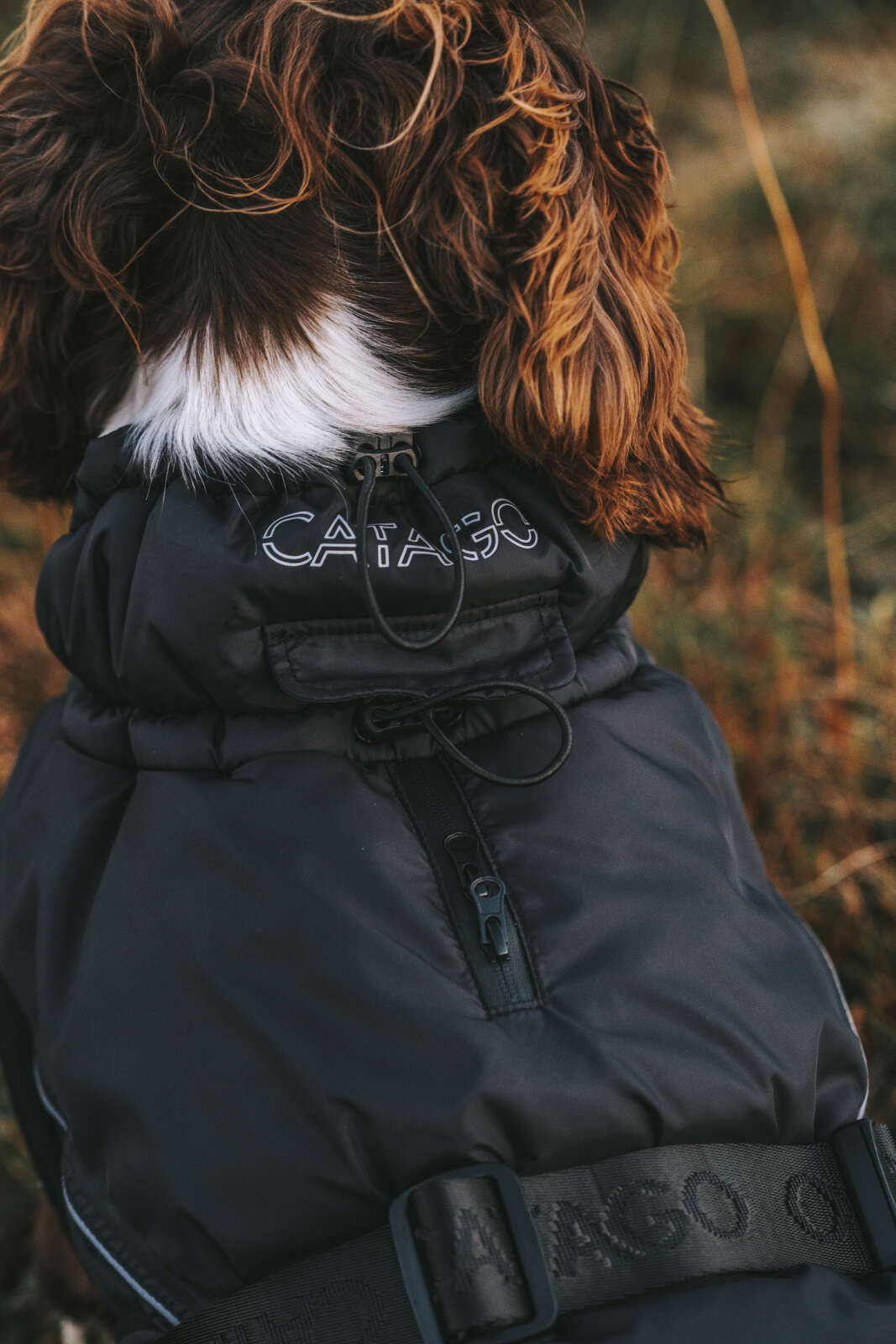 CATAGO FIR-Tech Vinter hundedækken