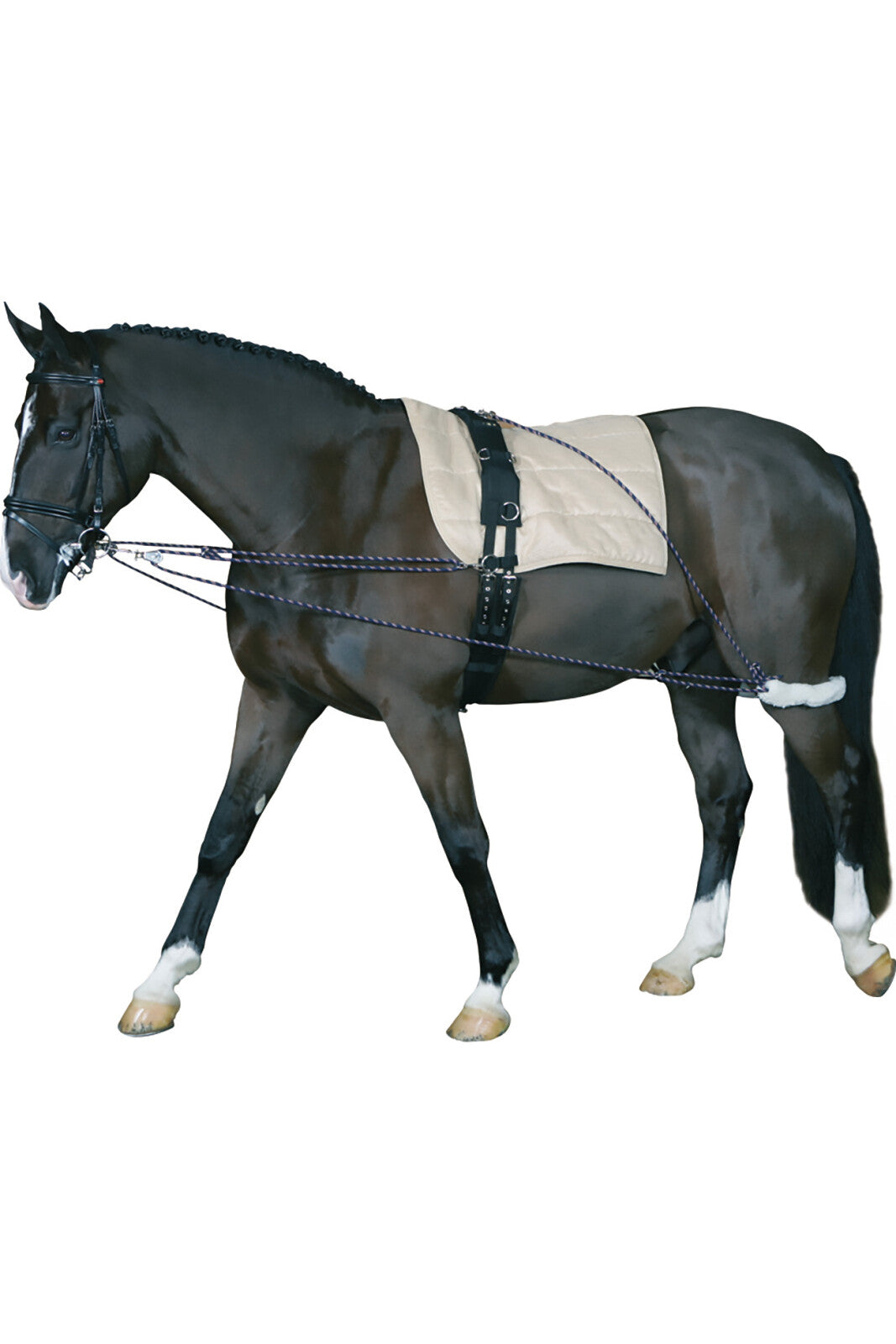 HorseGuard Longersystem