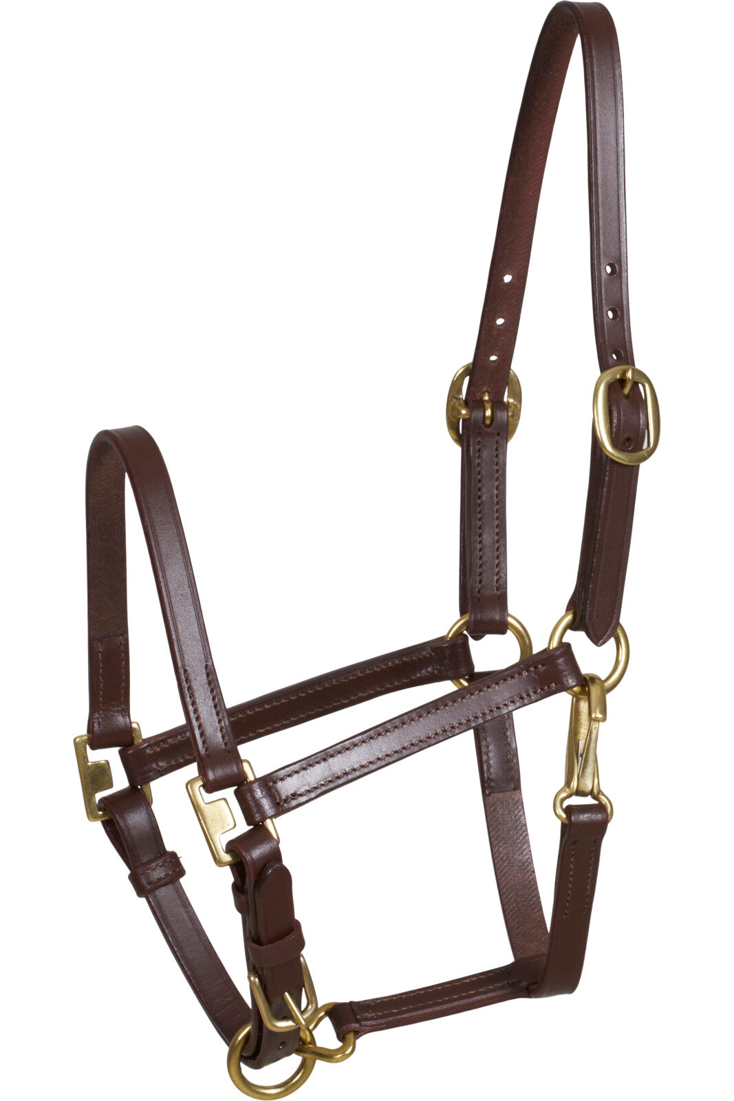 HorseGuard Cheval Fohlenhalfter