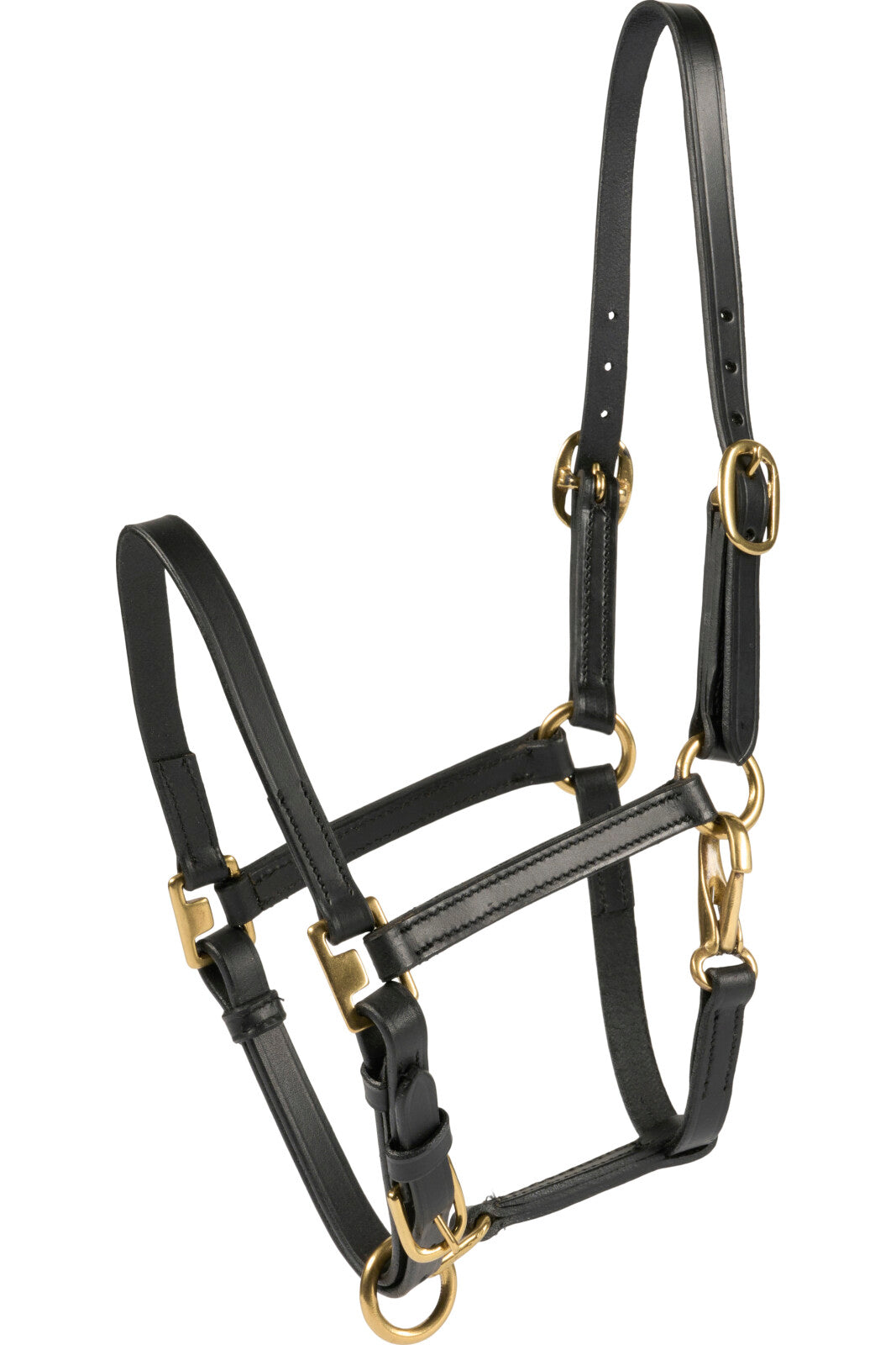 HorseGuard Cheval foal halter