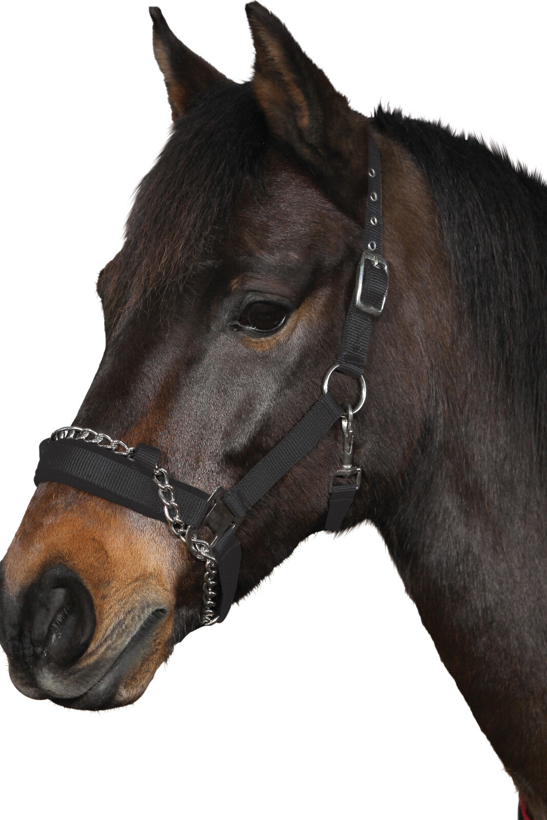 HorseGuard Nylongrimma m/kedja