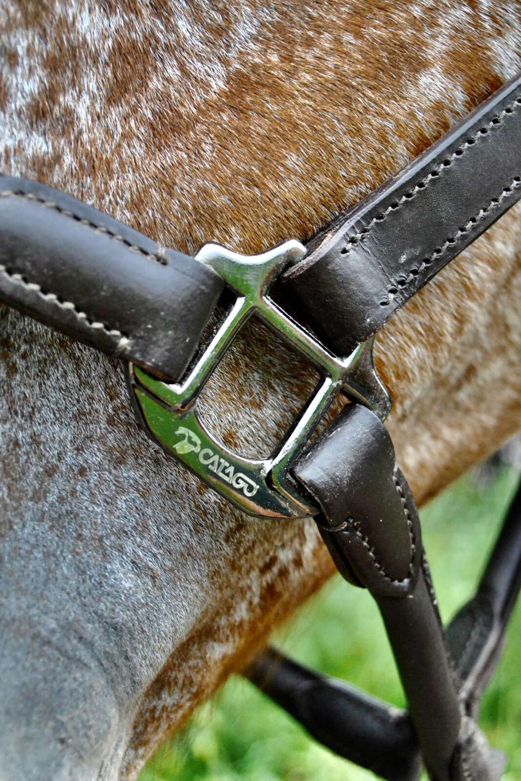 Catago Leather halter