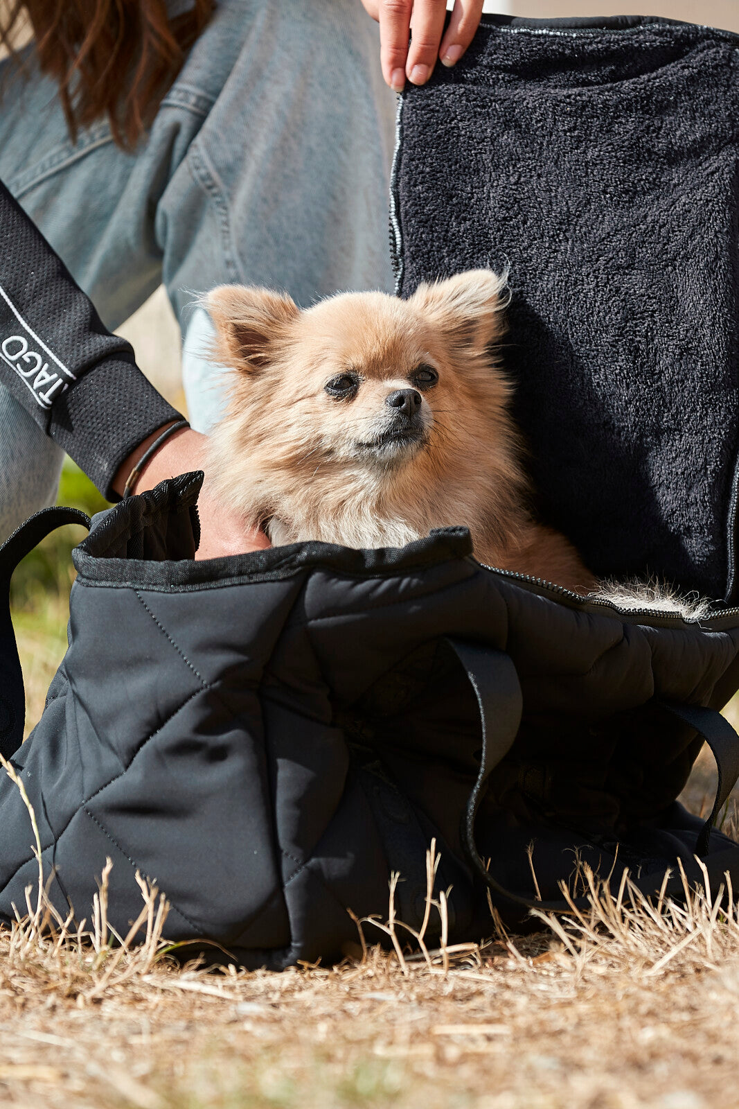 CATAGO quilted dog carrier bag
