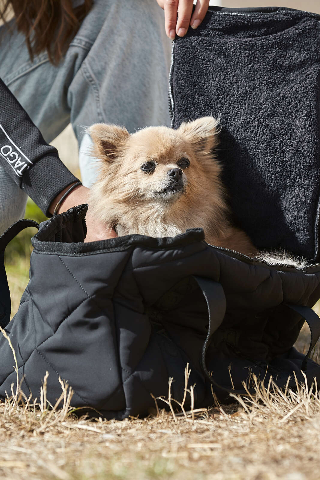 CATAGO quiltad hundväska