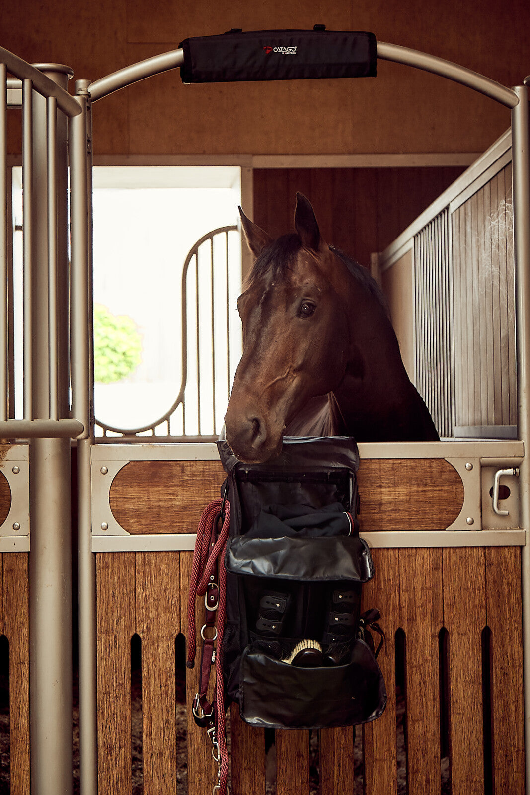 CATAGO Hovedbeskytter