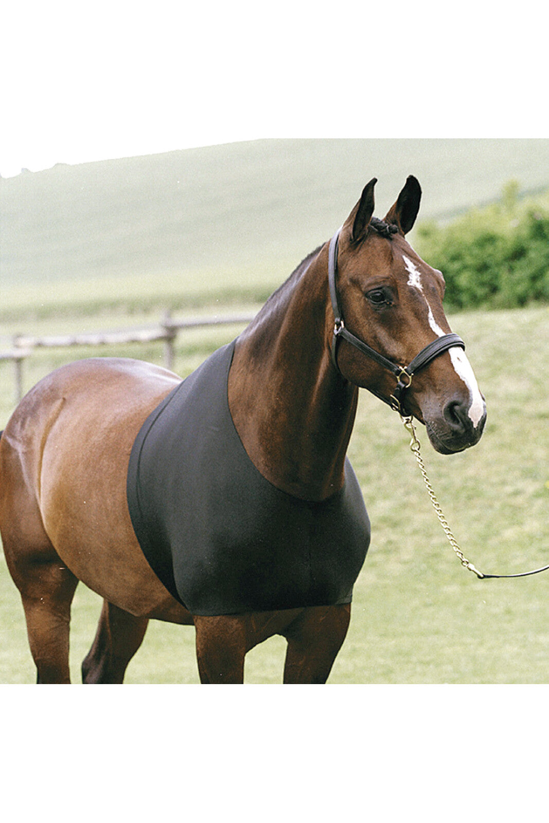 HorseGuard Cosy vest