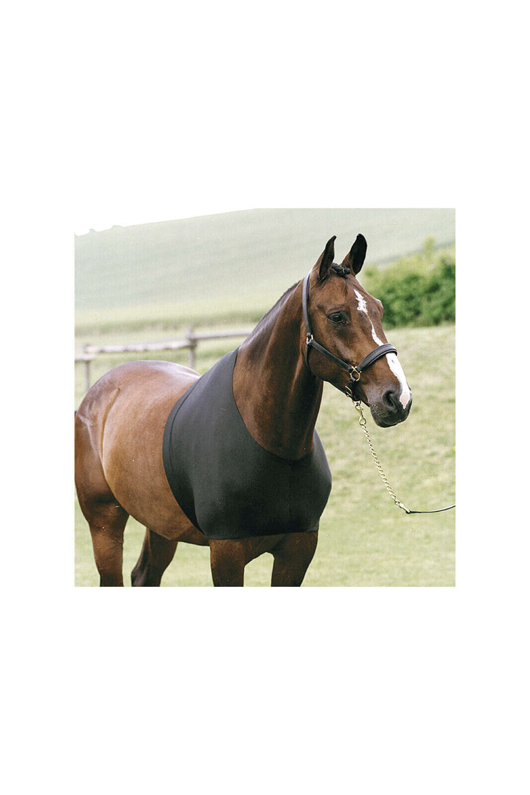 HorseGuard Cosy vest