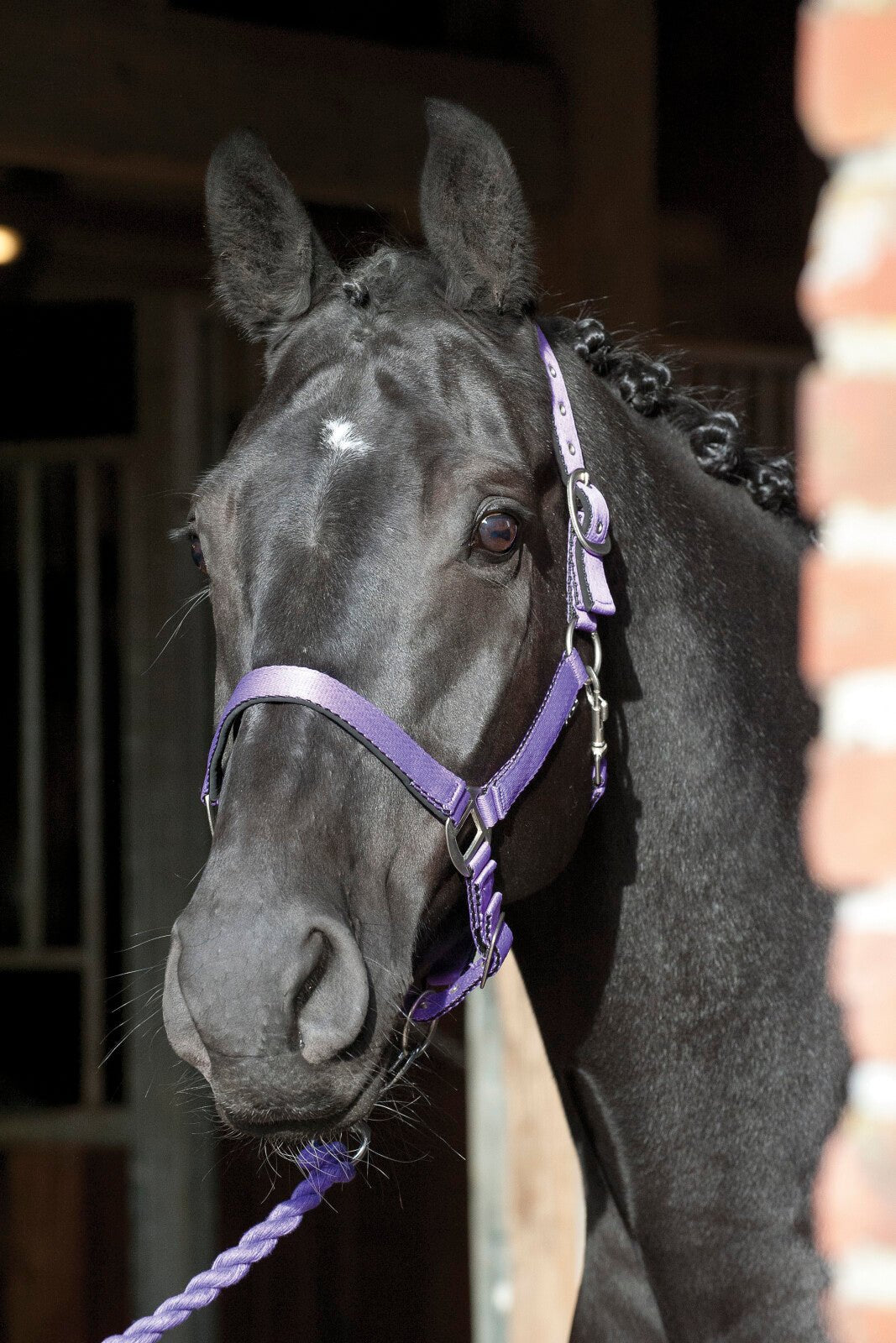 HorseGuard Lea halter - Unamari