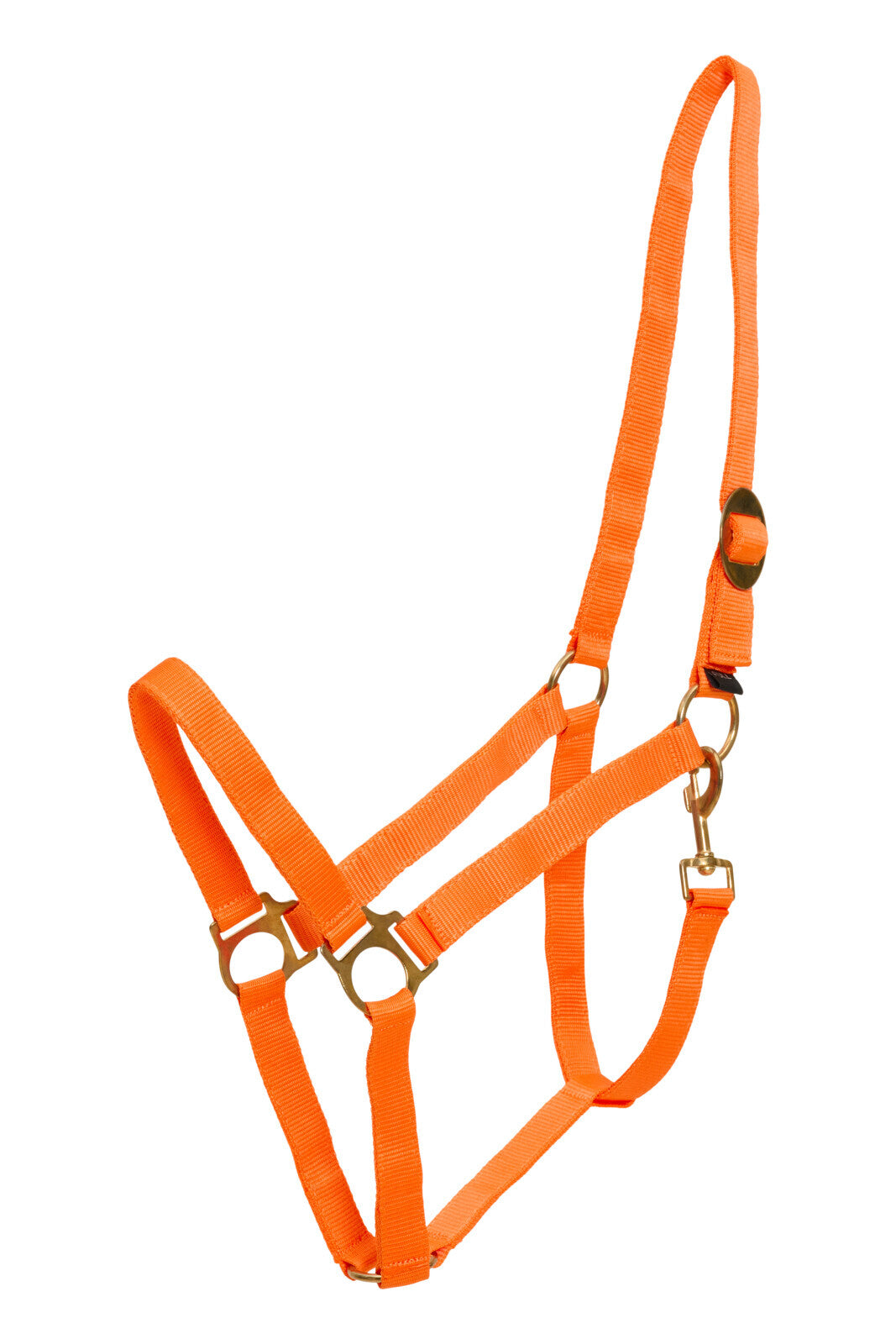 HorseGuard Nylon halter