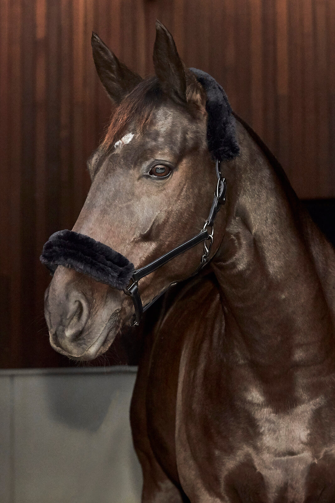 CATAGO leather halter w. faux fur