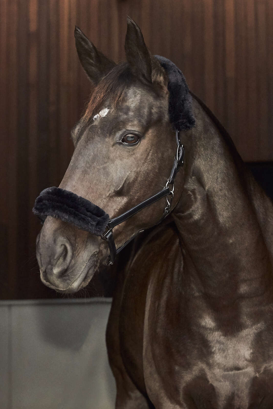 CATAGO Halfter m. im. Lammfell