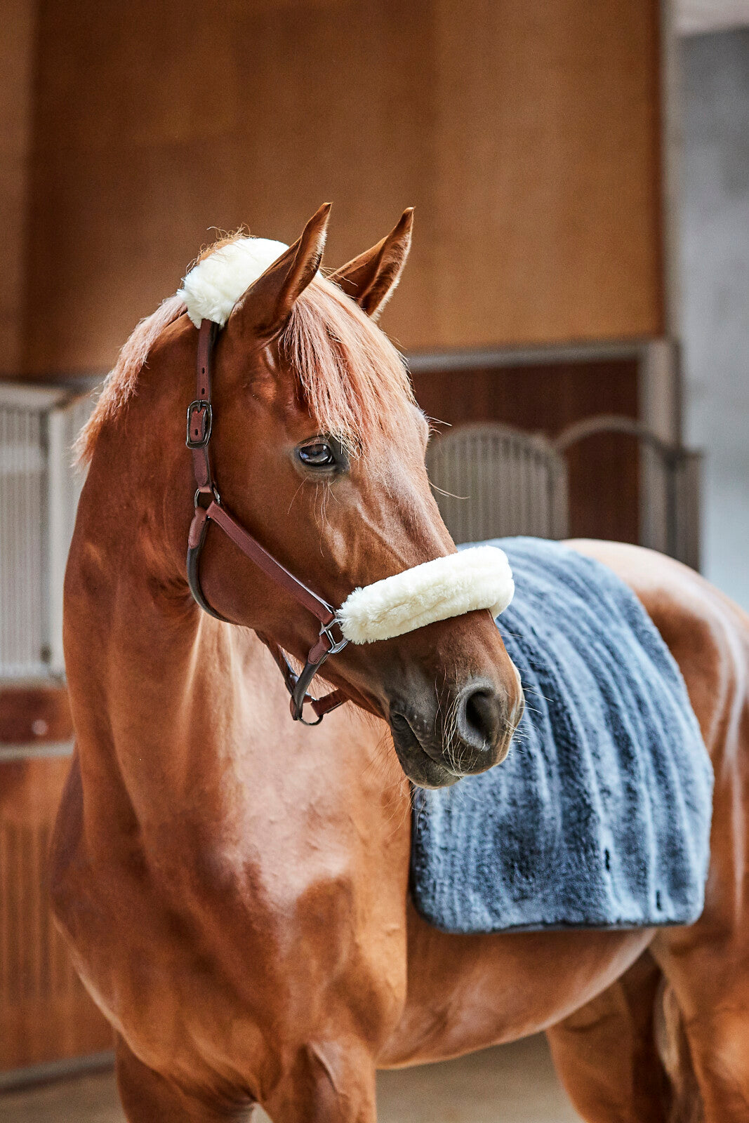 CATAGO leather halter w. faux fur