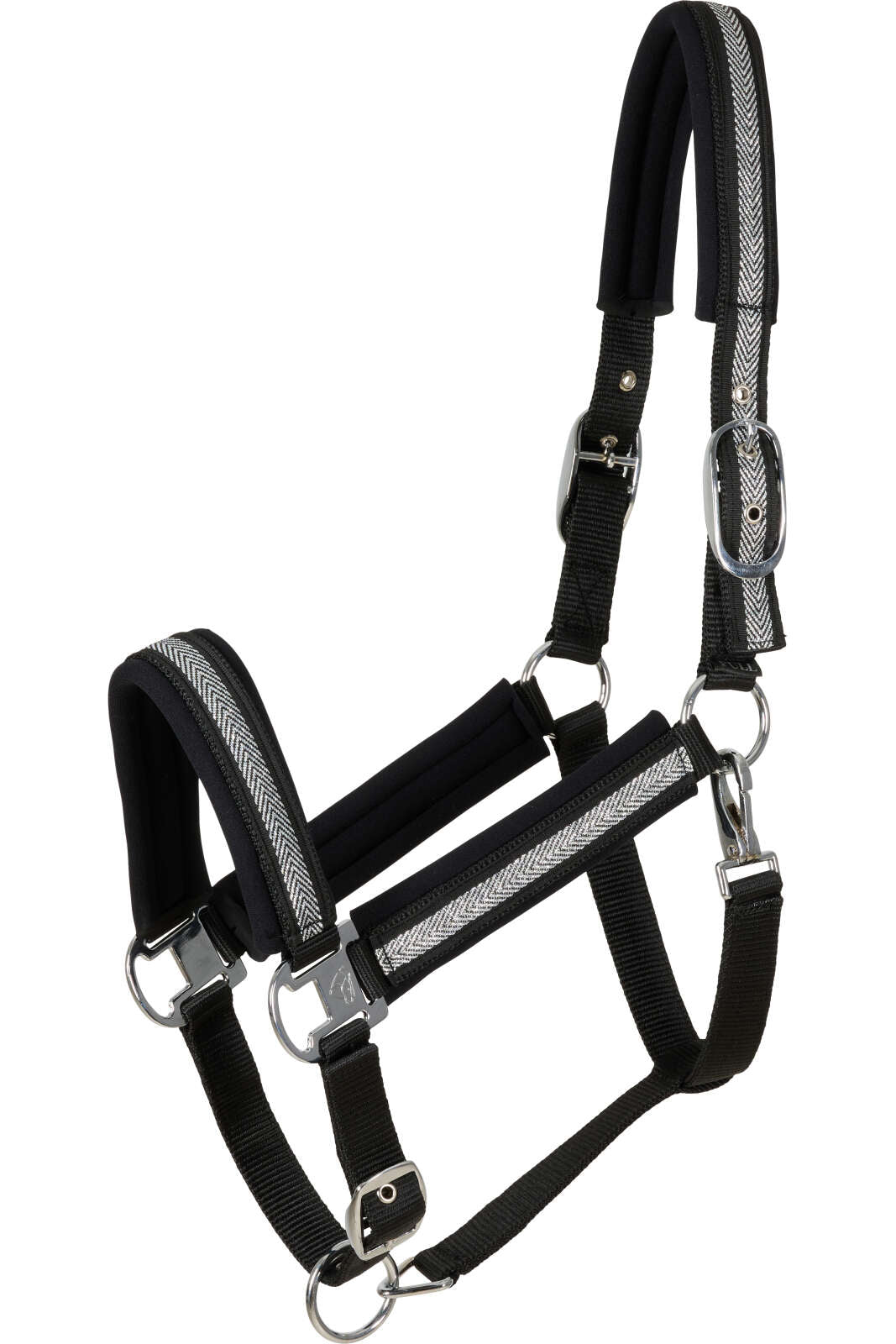 CATAGO Nate halter