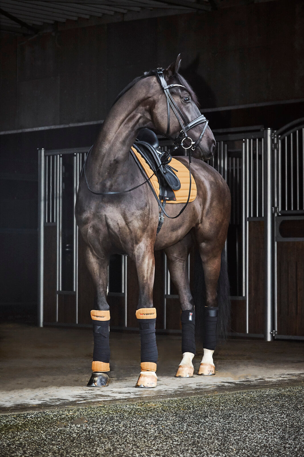 CATAGO Savi Trense kombineret m/ tilbagetræk