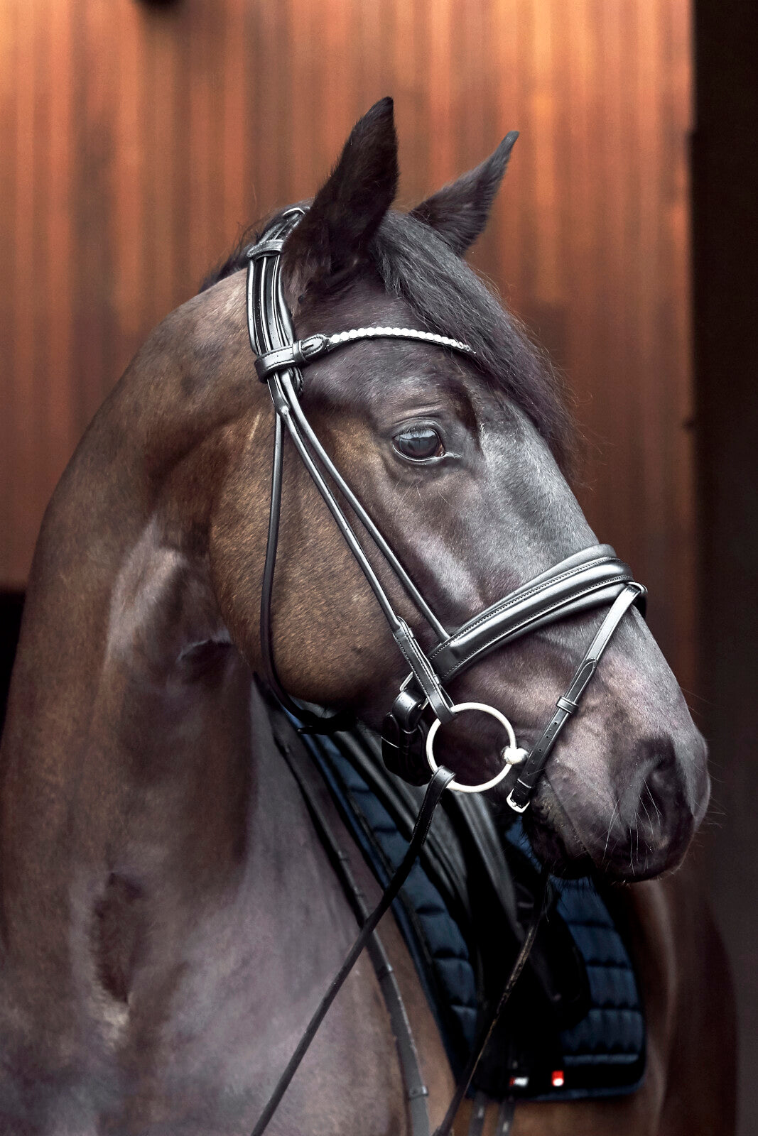 CATAGO Shay rundsyet trense kombineret m/tbt