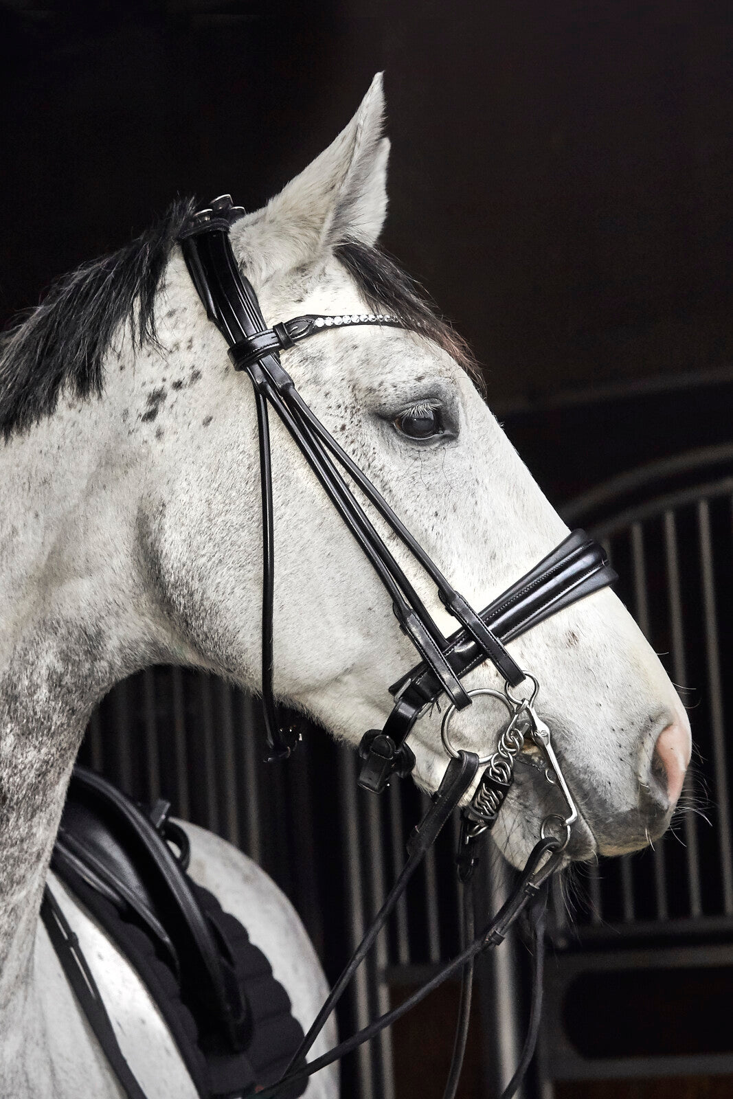 CATAGO Santo rundsyet kandartrense