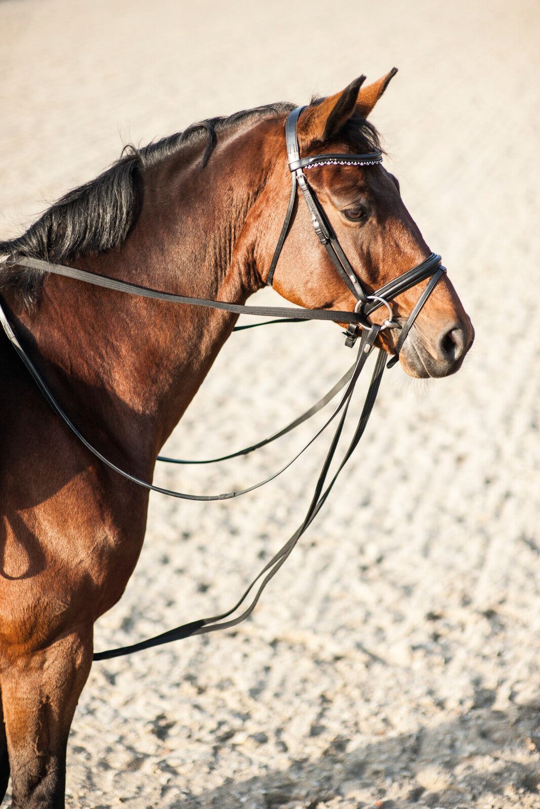 HorseGuard Webbing glidetøjle