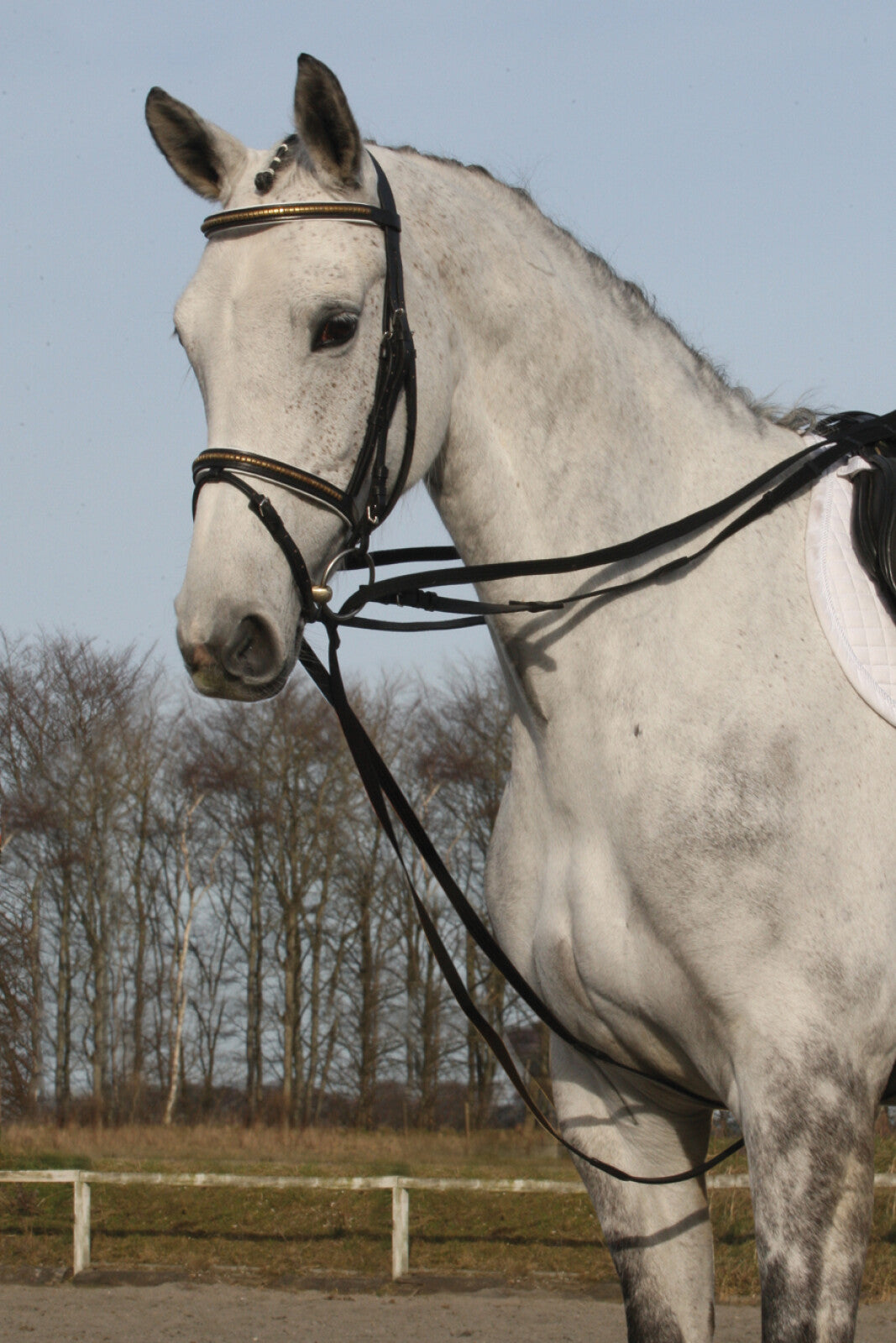 HorseGuard Webbing glidetøjle