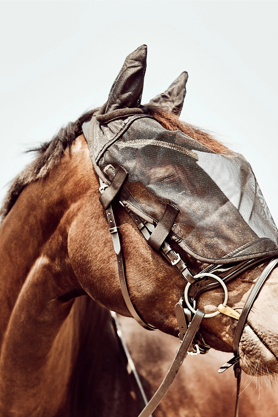 HorseGuard Fluemaske til trense