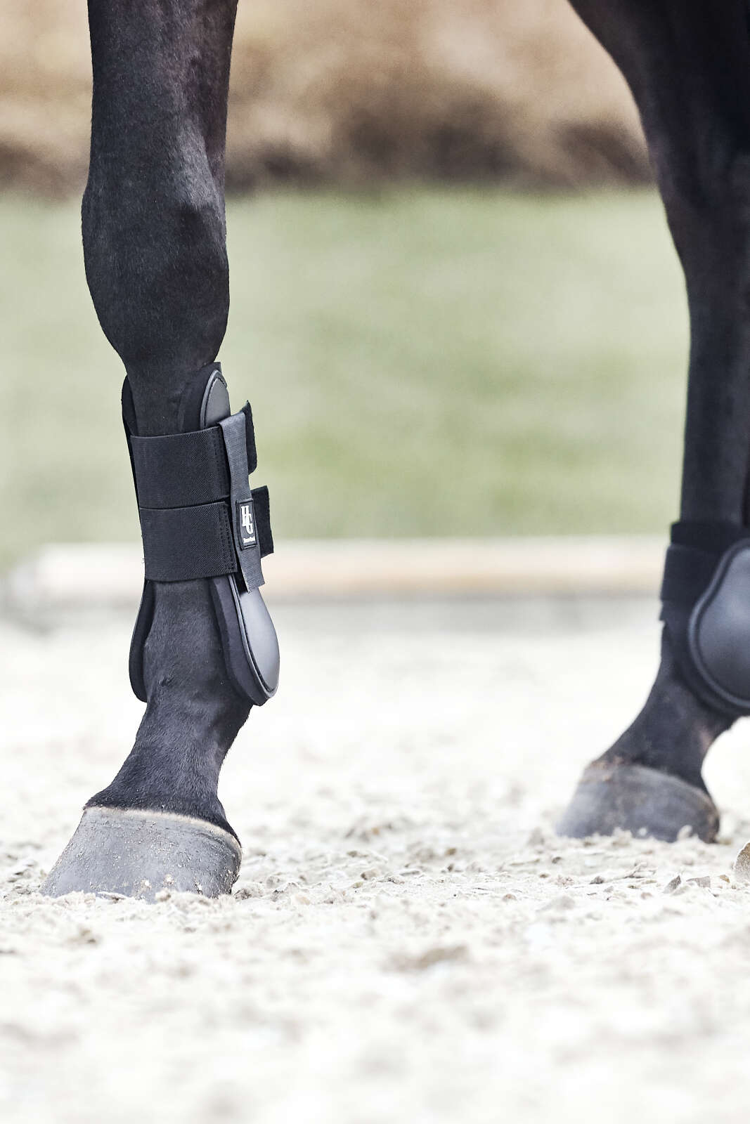 HorseGuard Fetlock boots