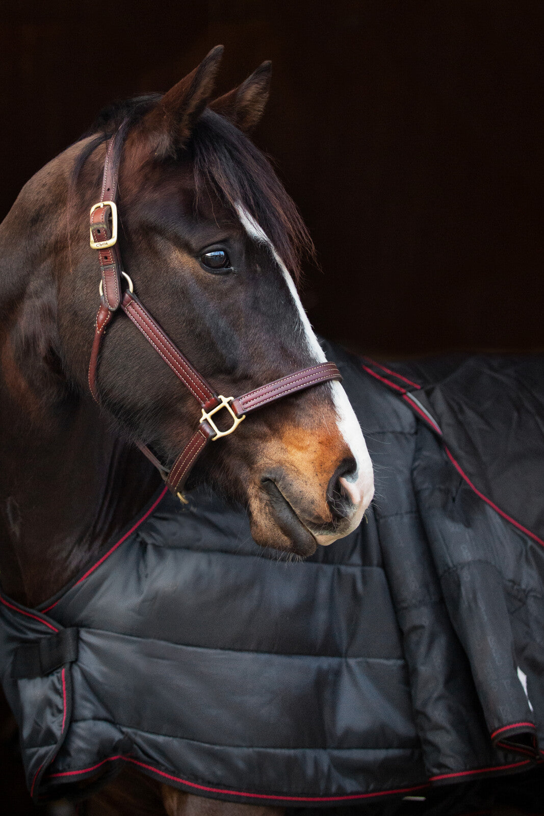 CATAGO Dual Pro 2-in-1 turnout rug, 100g / 200g