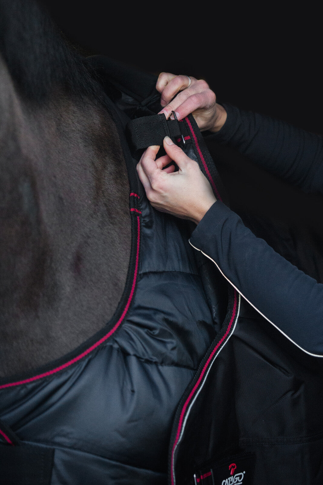 CATAGO Dual Pro 2-in-1 turnout rug, 100g / 200g