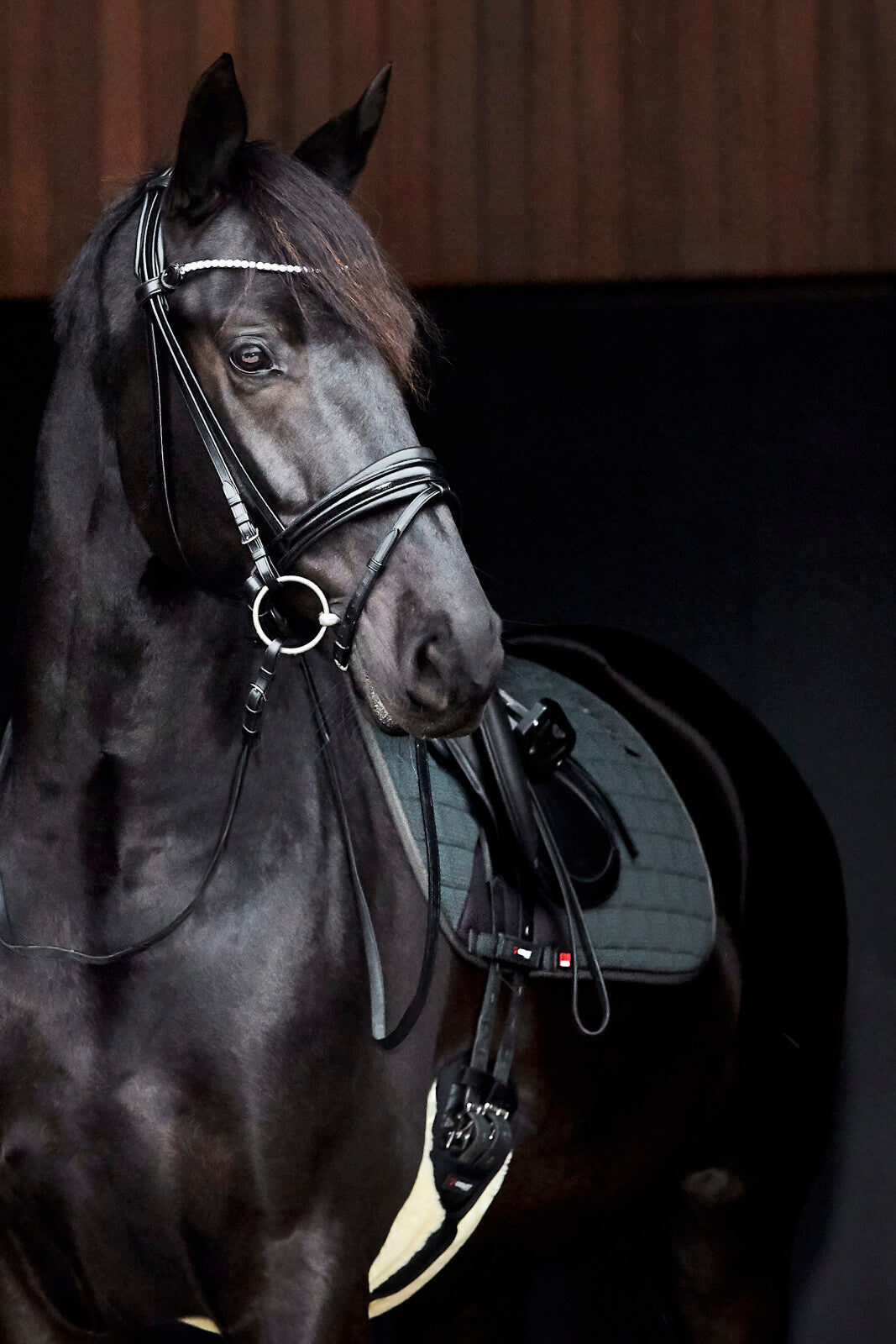 CATAGO Gjord m im lammeskind